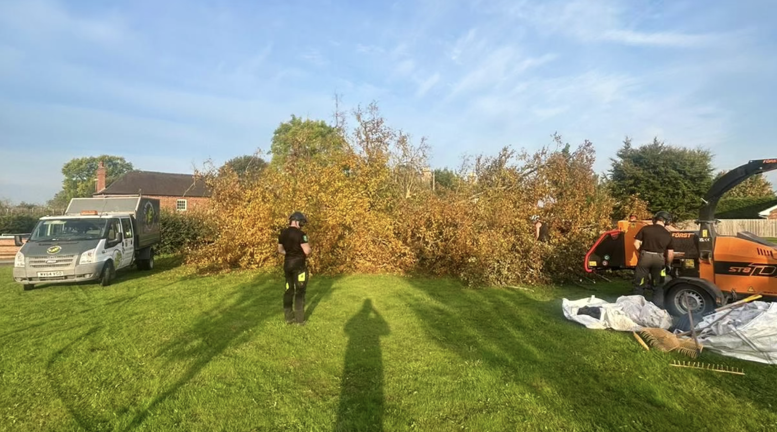 Emergency Lime Tree Removal in Derby