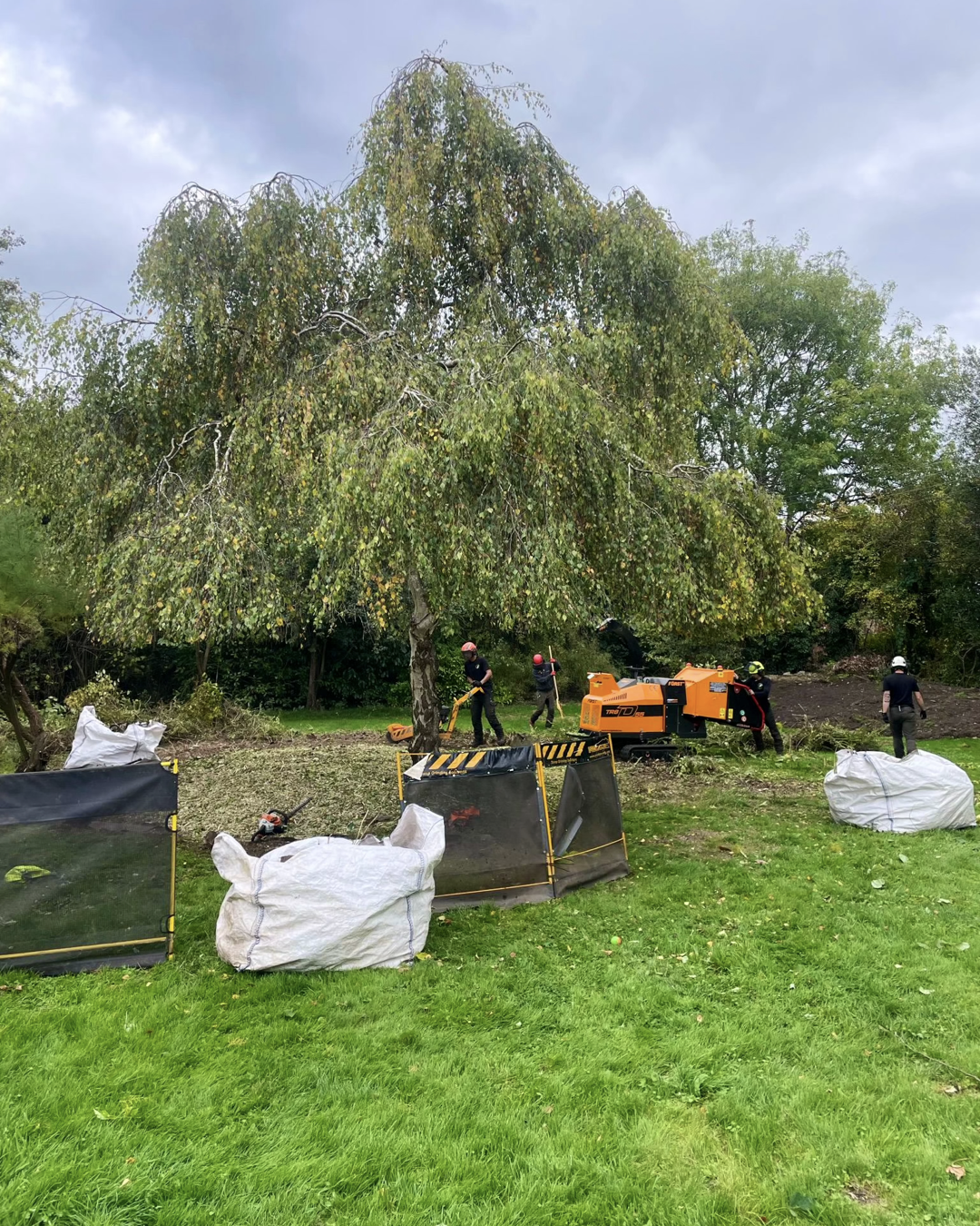 Garden Clearance &amp; Tree Pruning in Himbleton | CJ Tree Surgeons
