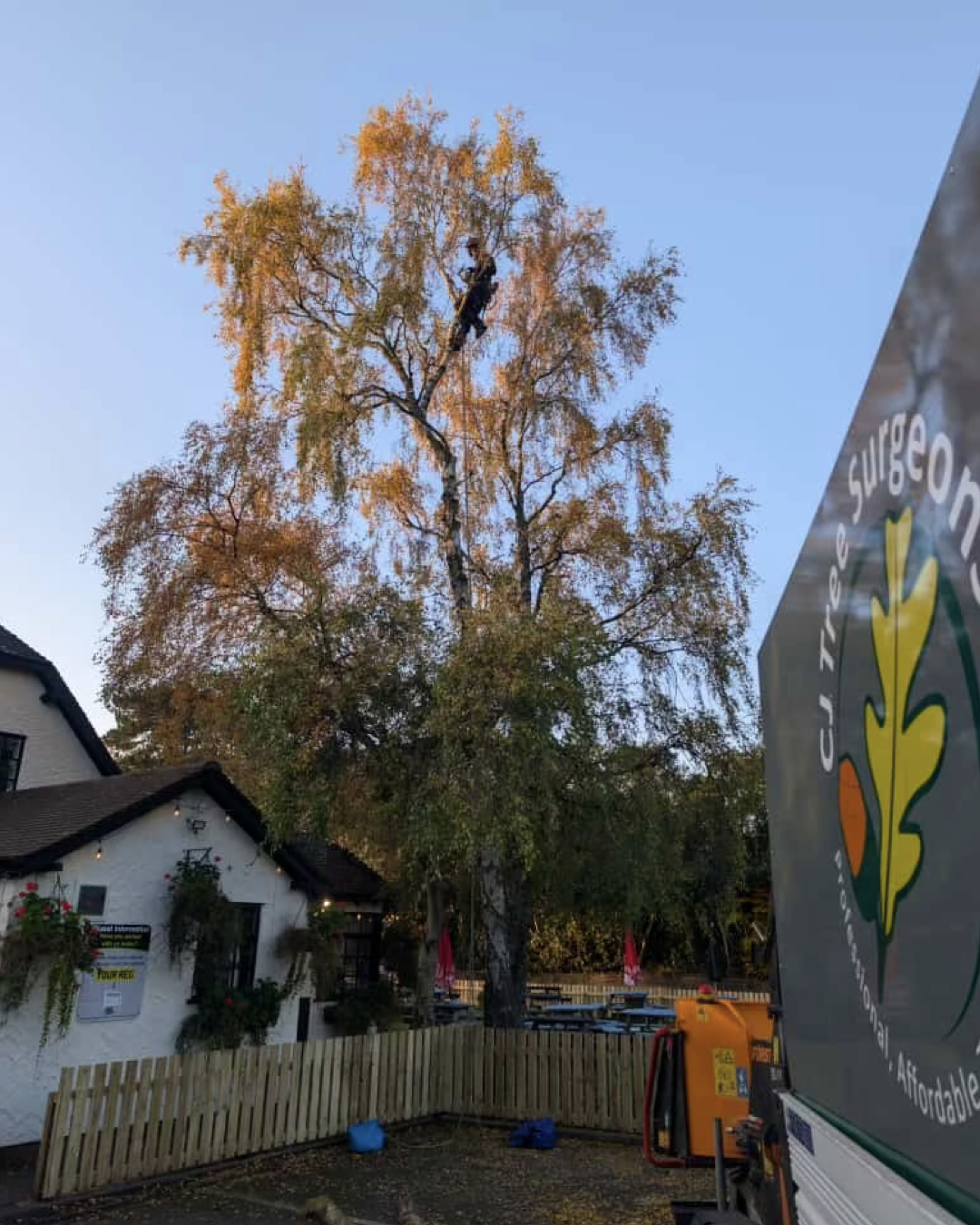 Tree Removal for Pub Entrance Safety in Wirral | CJ Tree Surgeons