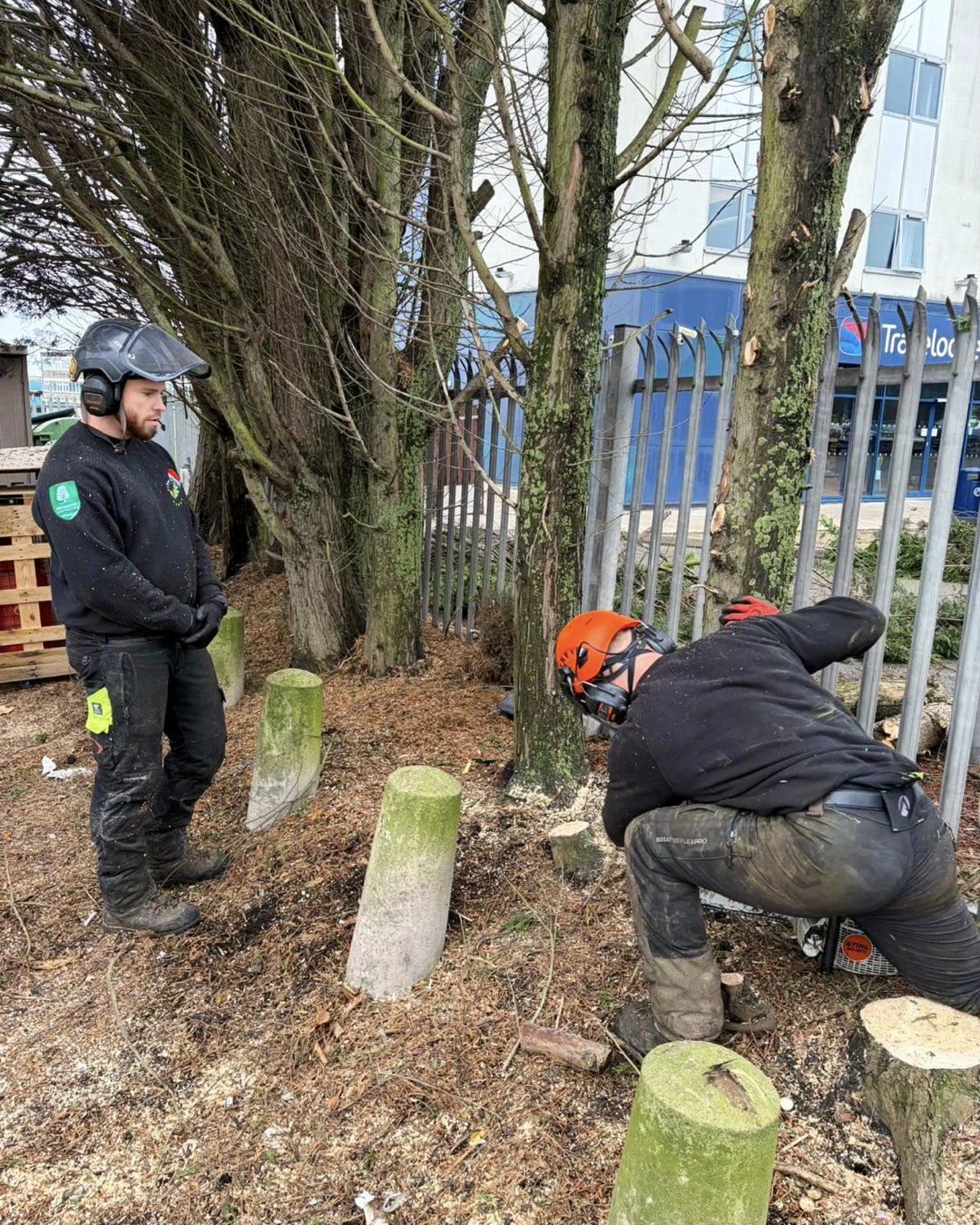 Holiday Inn Gallery.008 (1).png