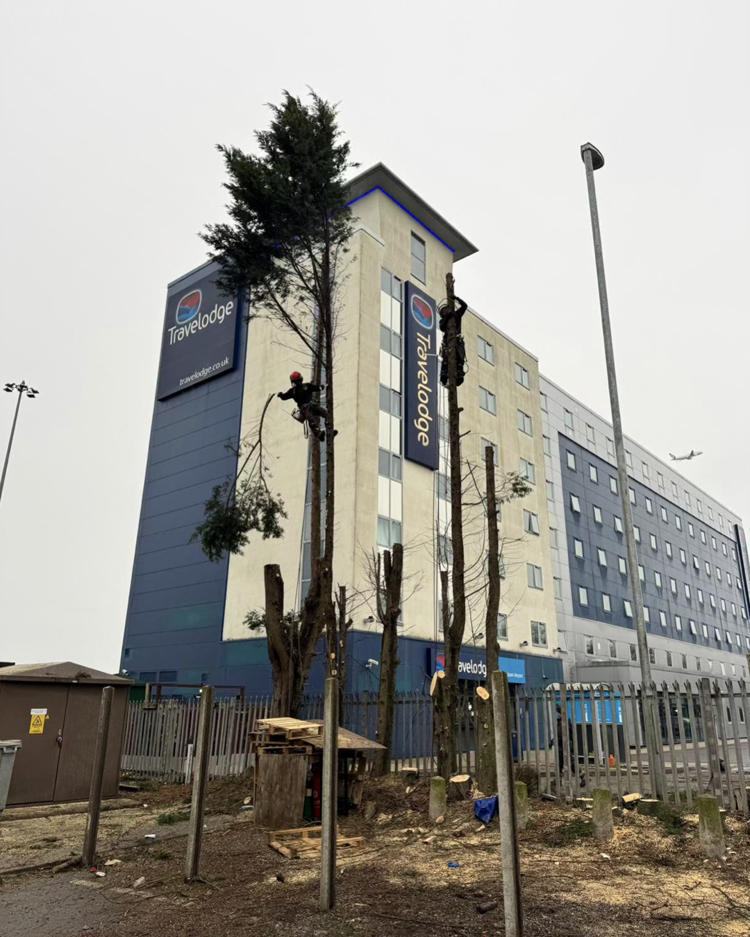 Holiday Inn Gallery.006.png