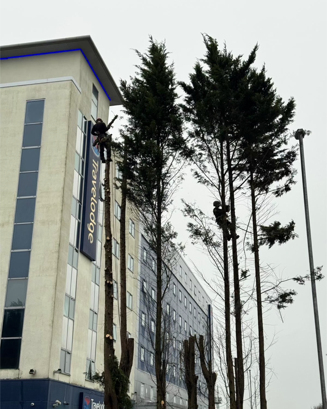 Holiday Inn Gallery.005.png