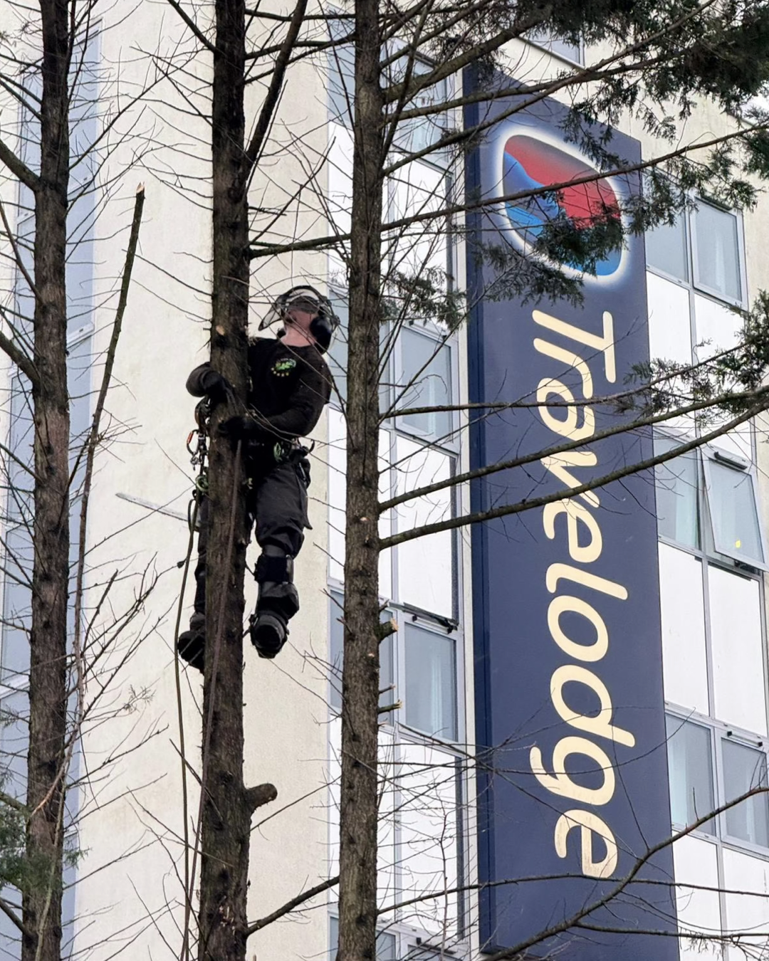 Holiday Inn Gallery.004.png