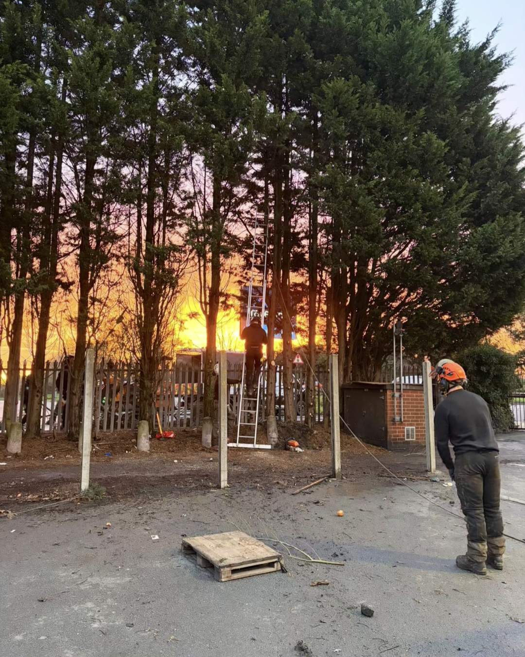 Holiday Inn Gallery.011.png