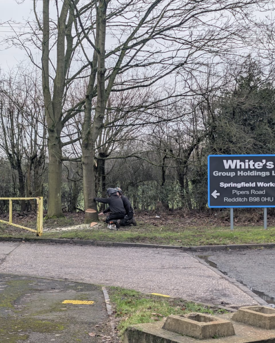 whites.006.png
