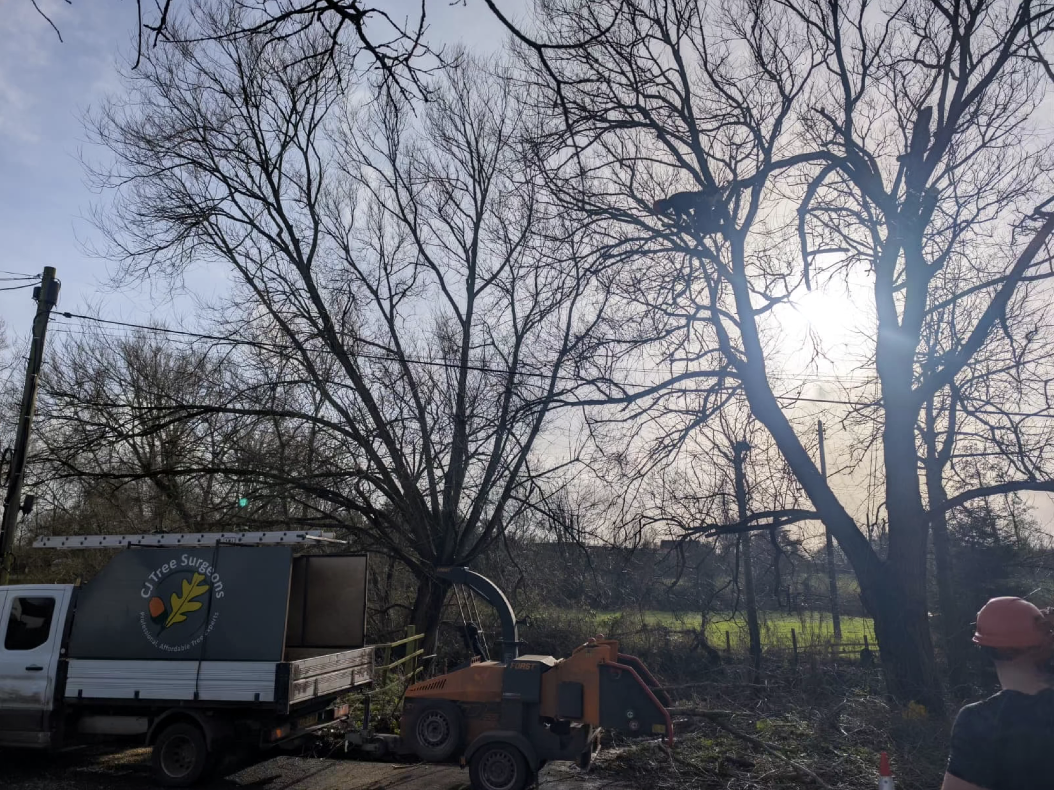 Commercial Tree &amp; Vegetation Clearance in Redditch | Whites Foodservice Case Study