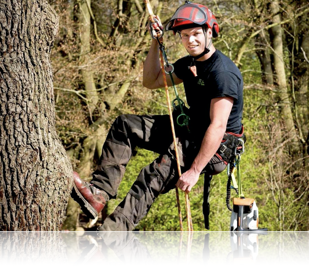 Who We Are CJ Tree Surgeons who-we-are-cj-tree-surgeons