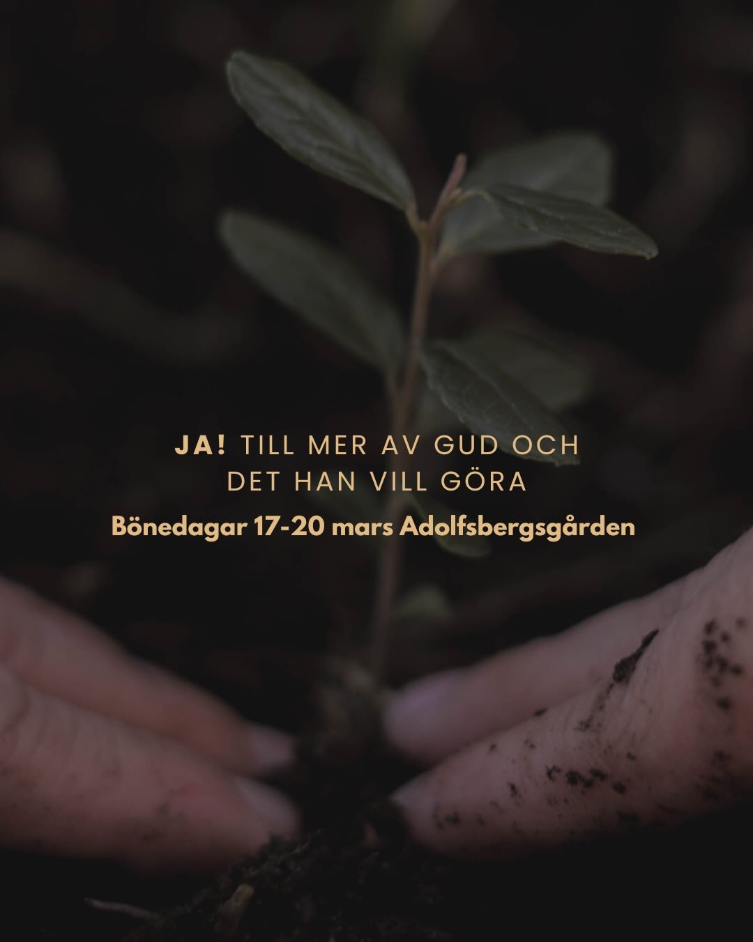 B&Ouml;NEDAGAR 17-20 mars p&aring; Adolfsbergsg&aring;rden 

Vi l&auml;ngtar efter mer av Gud och det han vill g&ouml;ra. B&ouml;nedagarna &auml;r v&aring;rt s&auml;tt att konkret s&auml;ga v&aring;rt JA till detta! 

Vill du vara med? &mdash;> ko