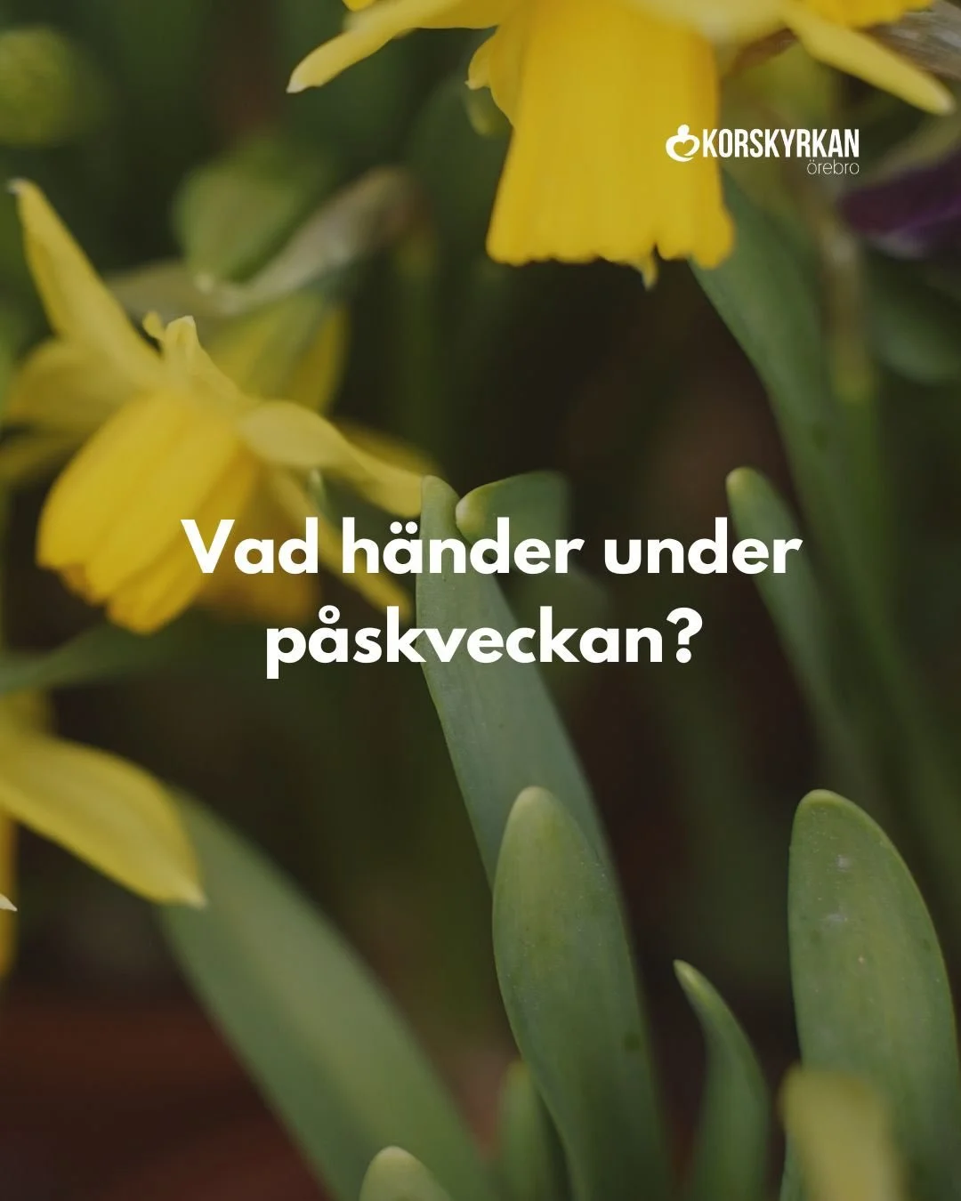 Vad h&auml;nder under p&aring;skveckan?

TRE SAMLINGAR I P&Aring;SK🙌🏻 
Sk&auml;rtorsdag- getsemanestund med m&aring;ltidsnattvard kl 18.30
L&aring;ngfredag - gudstj&auml;nst och barnsamling kl 10.30
P&aring;skdagen - gudstj&auml;nst och barnsamling