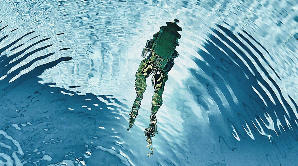 Half-width-960_1.png