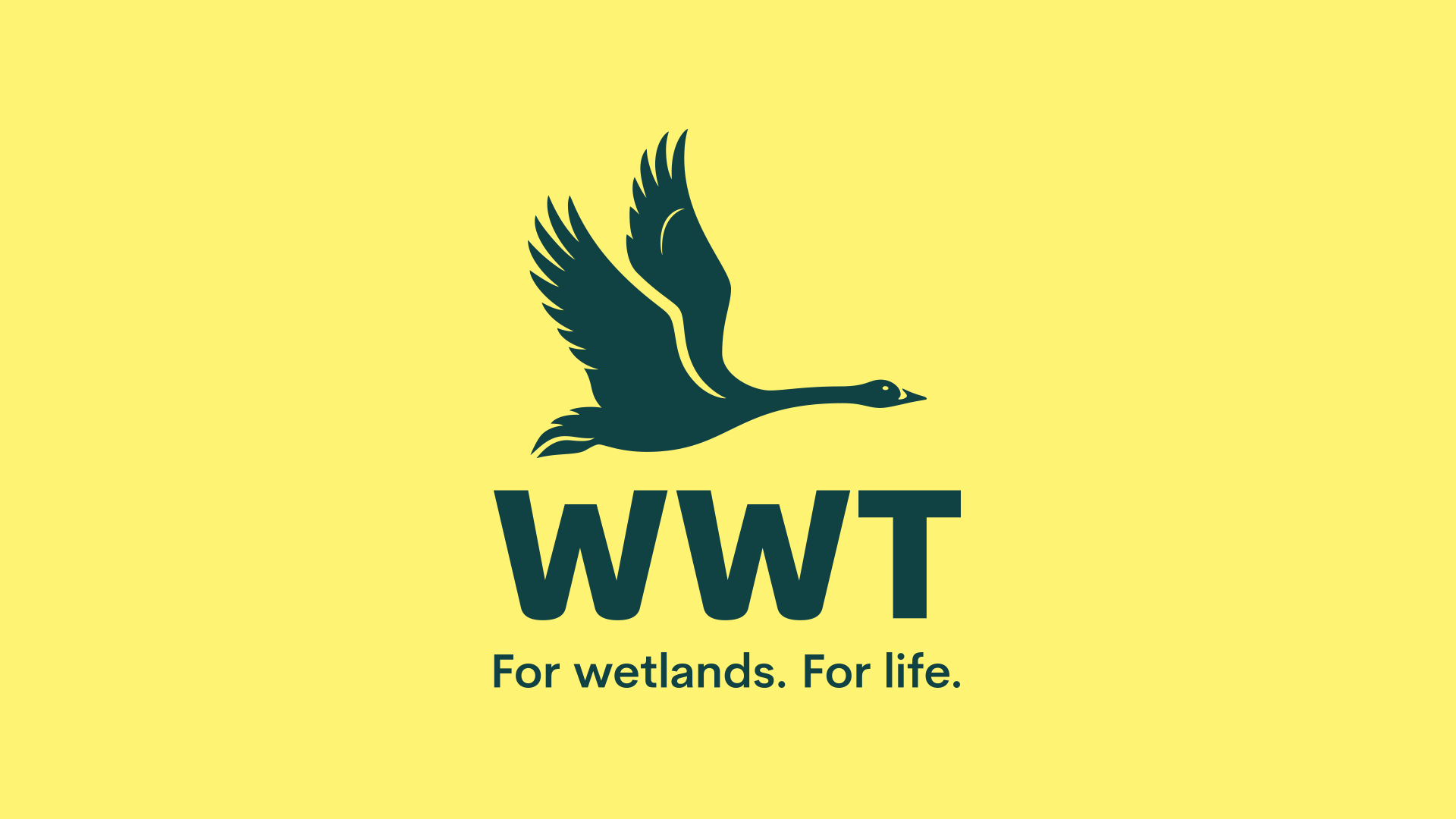 Full-width-1920-1.png