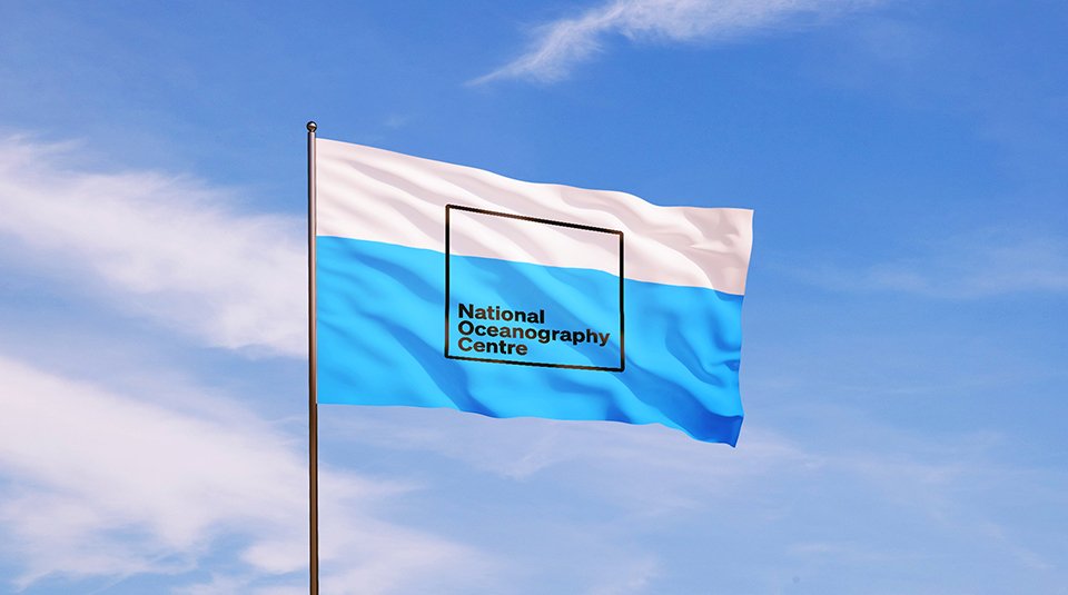 Flag ÔÇô half widthHalf width 960 (1).jpg