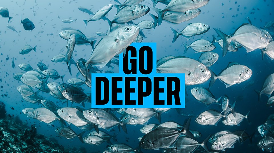National Oceanography Centre: Rebrand