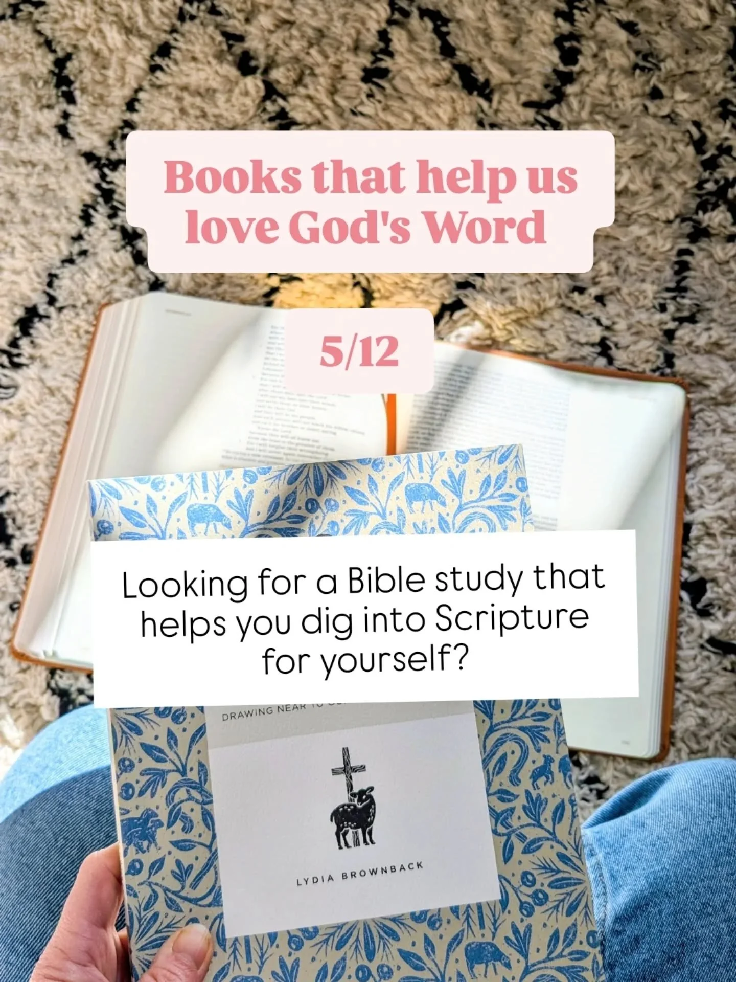 One thoughtful Christian resource I&rsquo;ve been reading lately.
We&rsquo;ve used a couple of @lydiabrownback_author &rsquo;s Flourish studies in our women&rsquo;s Bible study and they&rsquo;ve been consistently excellent.
Her study on Hebrews looks