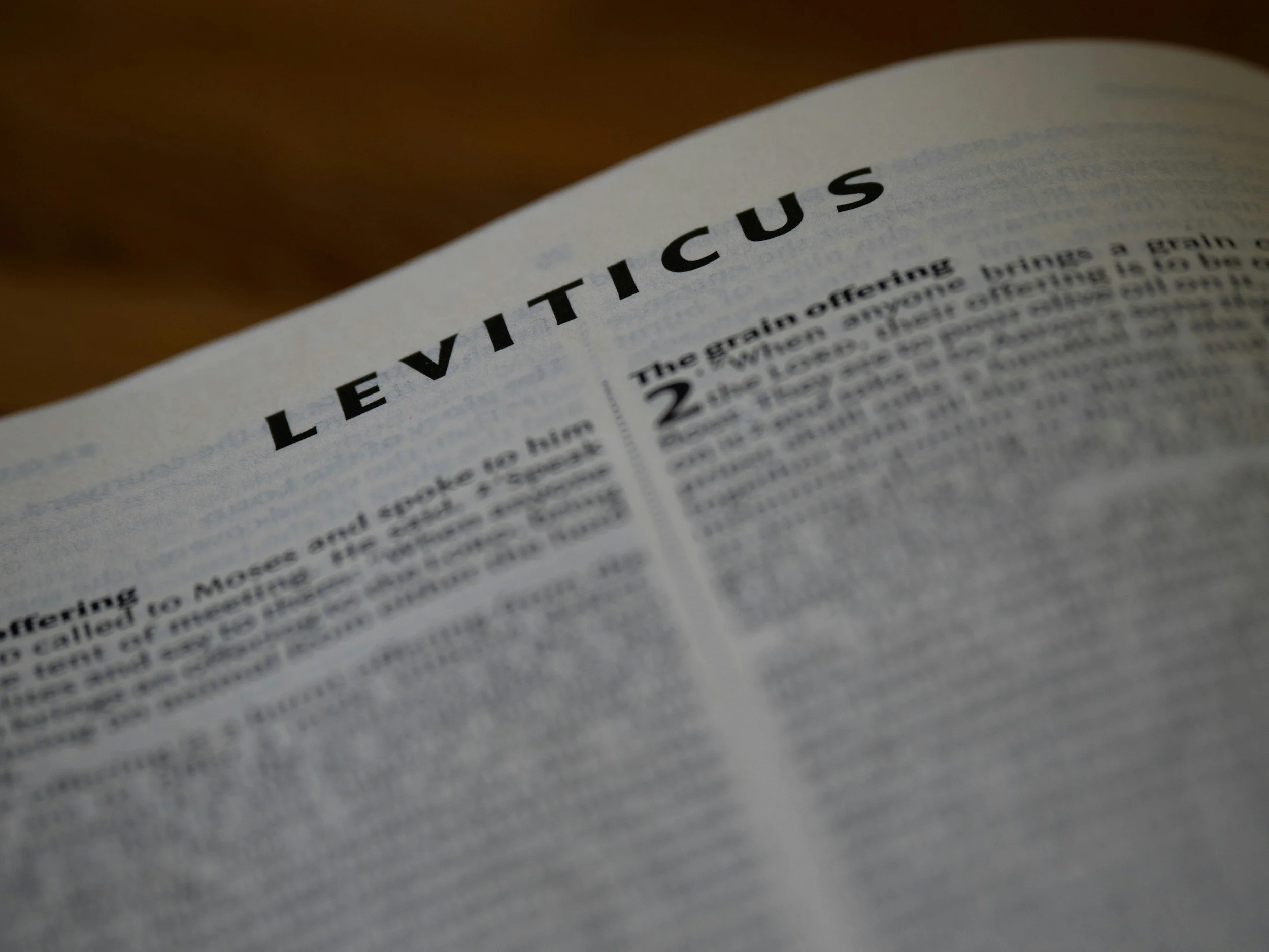 You nearly skipped Leviticus didn’t you?