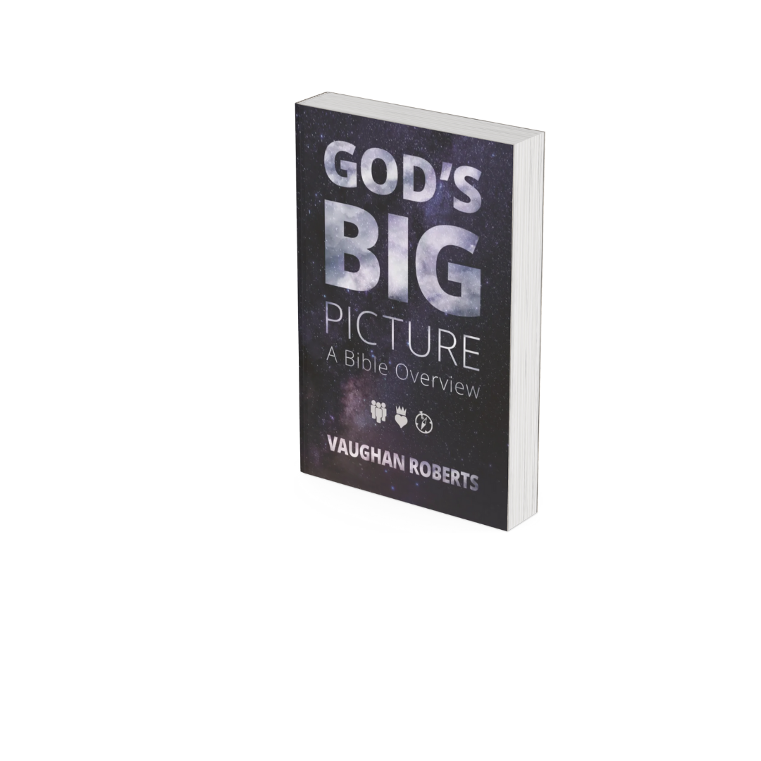 God's Big Picture book cover.png