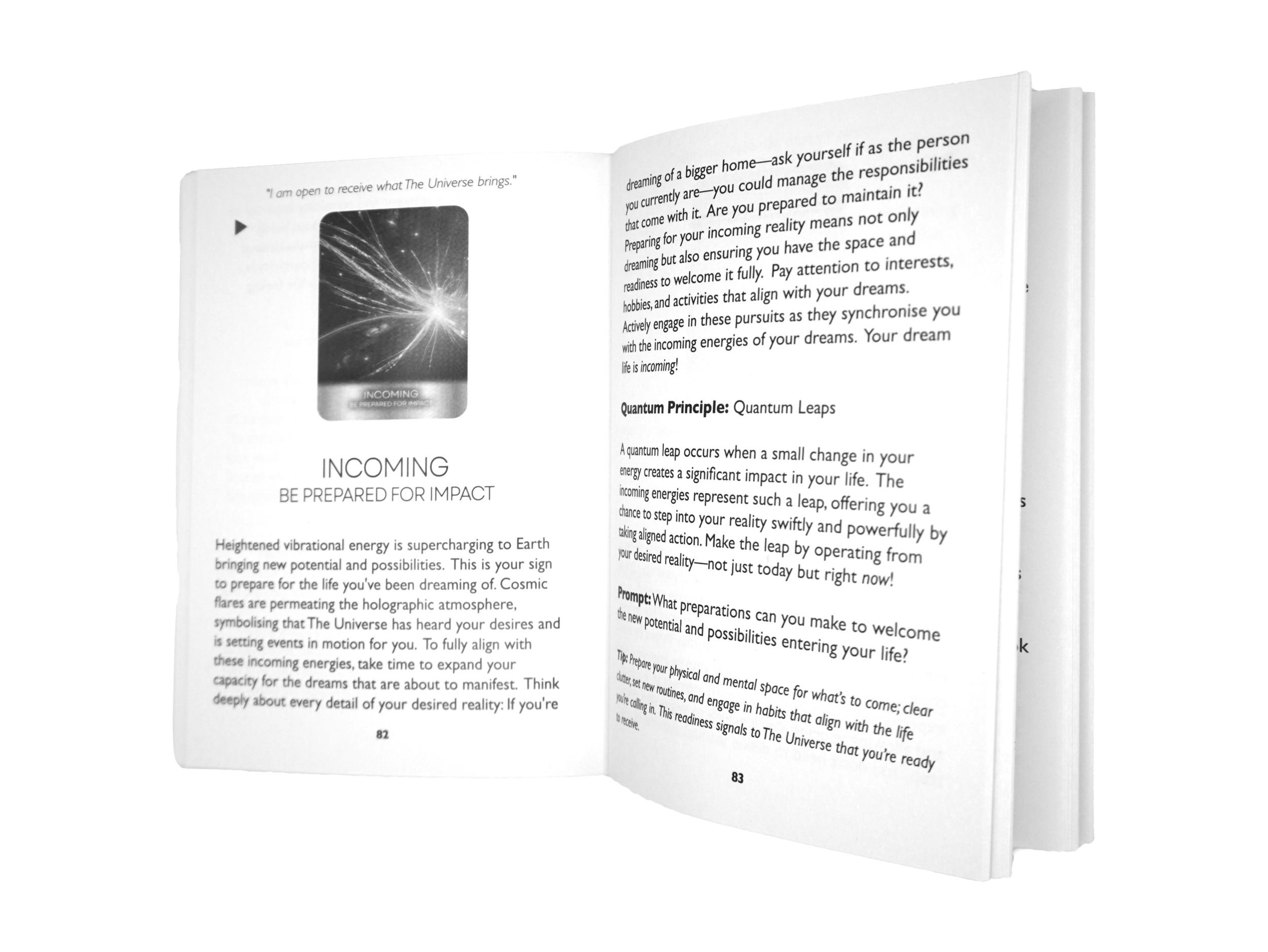 guidebook inside.png