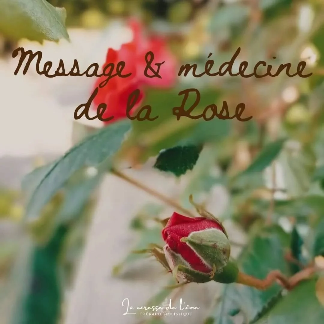 🌹Pour bien commencer cette semaine , voici la M&eacute;decine de la Rose 🌹

Amour &amp; Lumi&egrave;re

#rose #medecinedesplantes #medecinedelarose