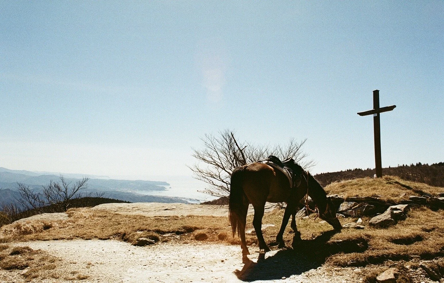 Across Europe | 2022