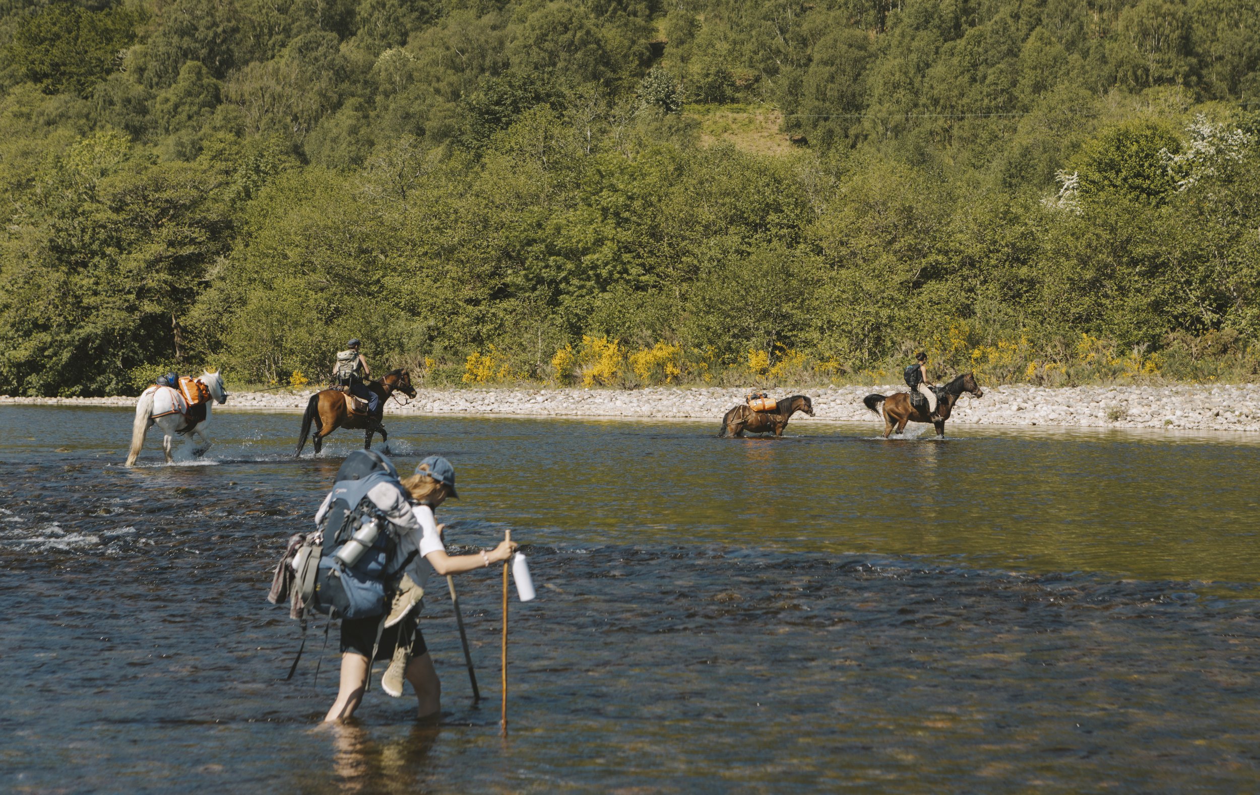 Across Highlands | 2024