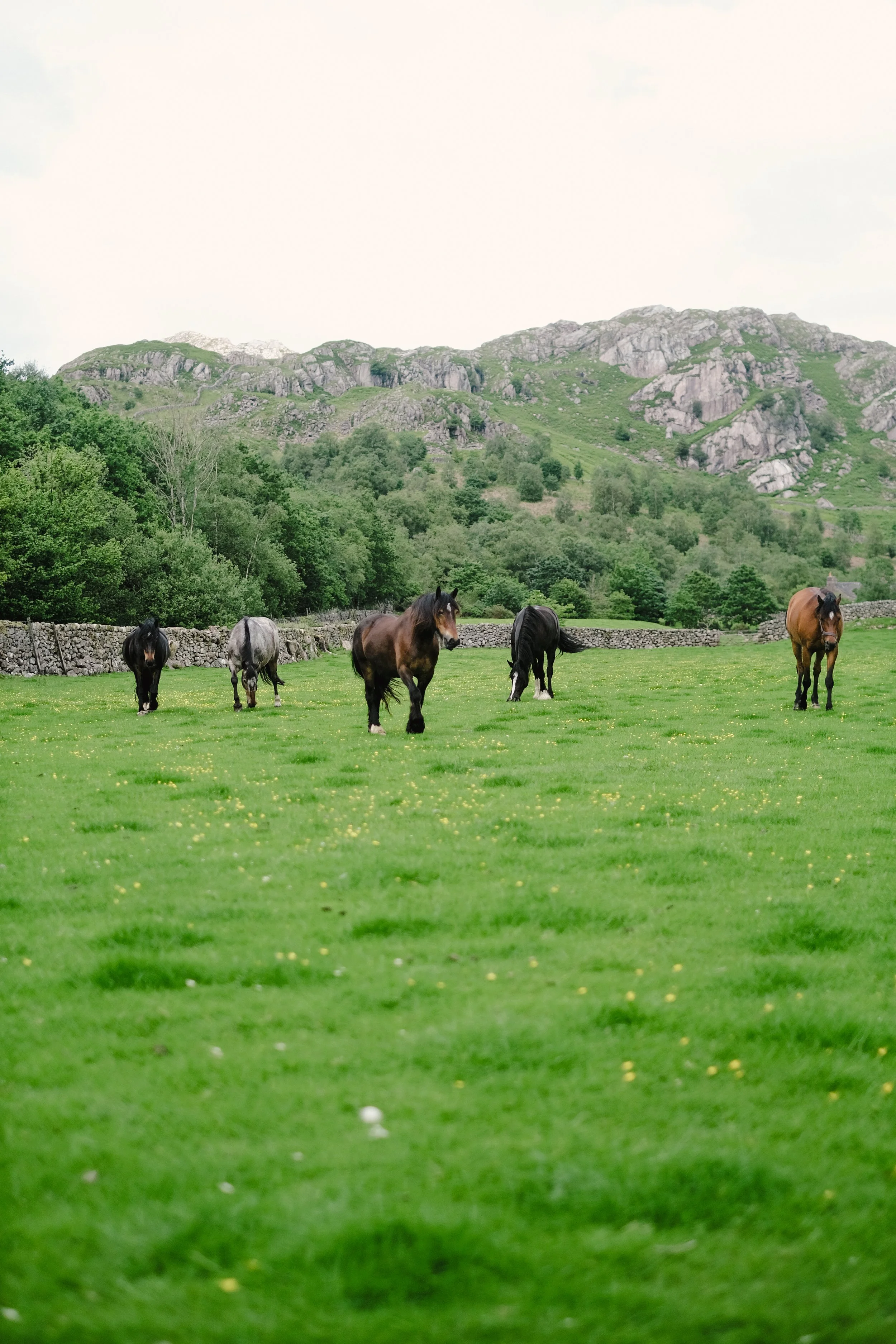 DSCF8260.jpg