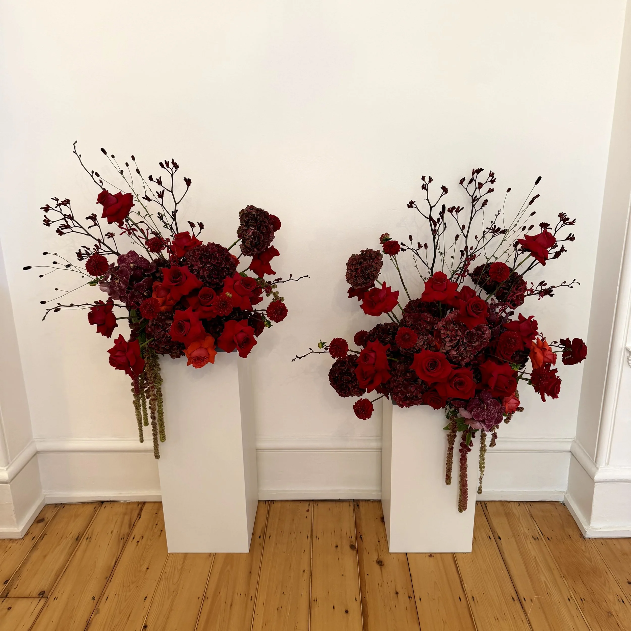 Appassionata Flowers Winter 2025 - Paul Costelloe 4.jpeg