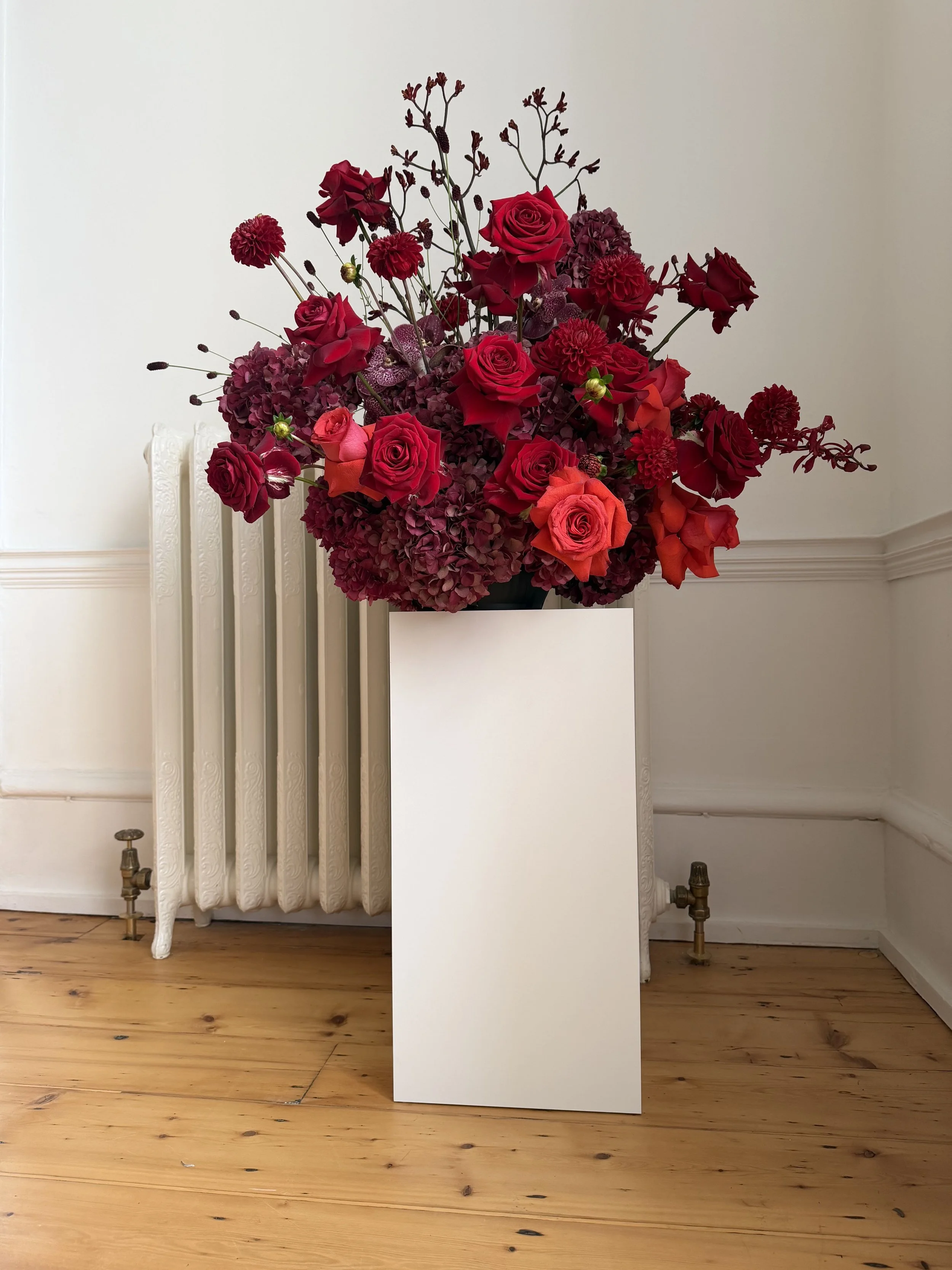 Appassionata Flowers - Winter Reds Paul Costelloe.jpg