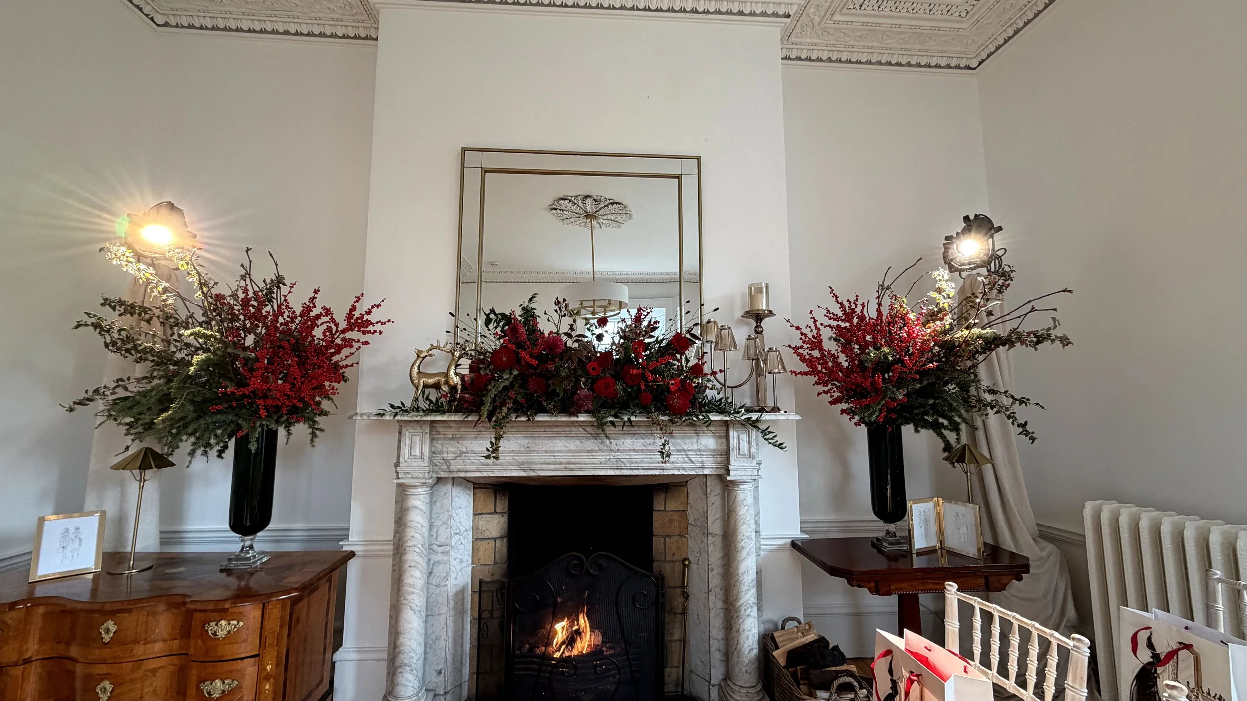 Appassionata Flowers Winter 2025 - Paul Costelloe (1).jpeg