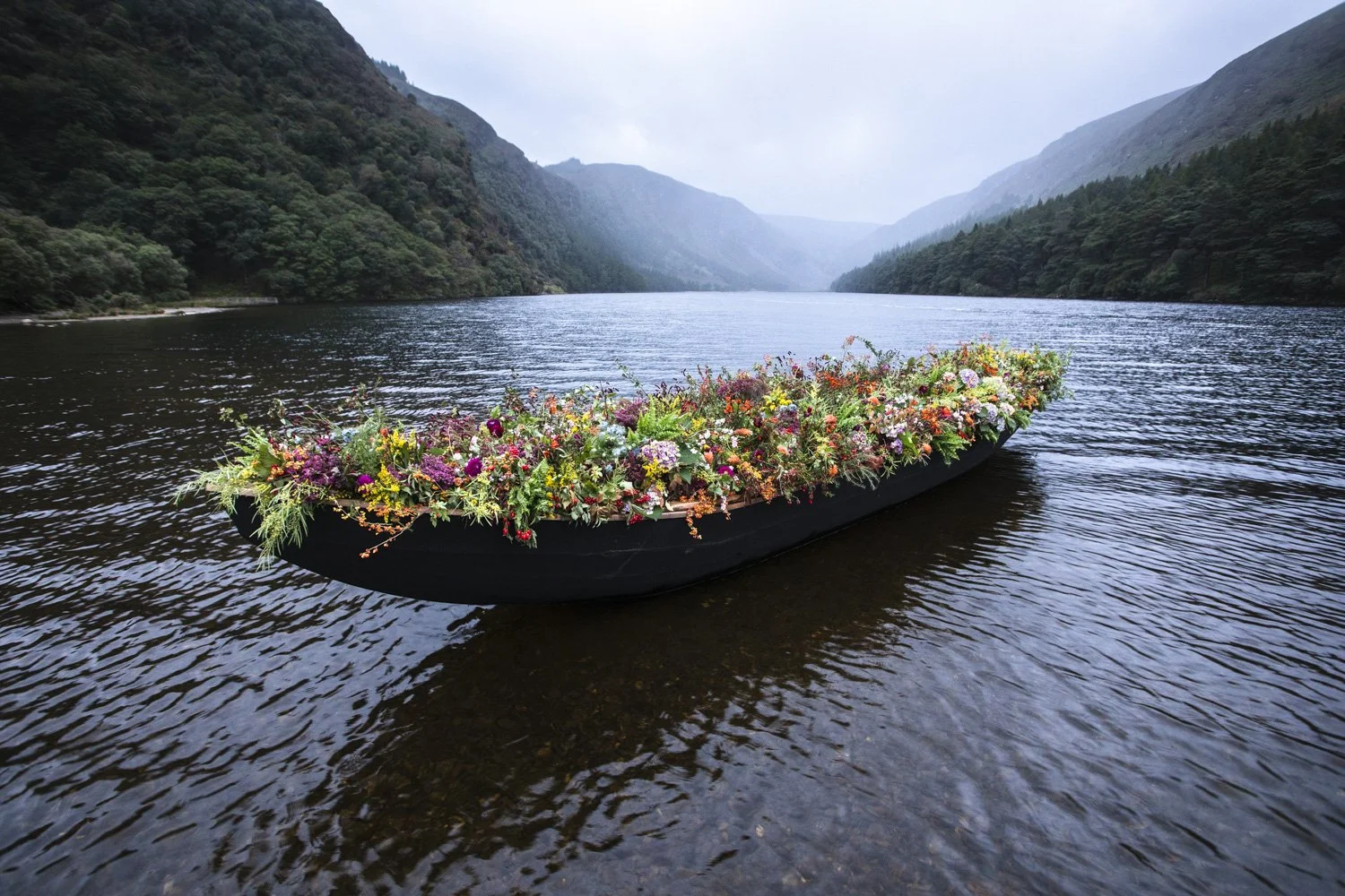 Appassionata Flowers - Blathanna - Glendalough .jpg