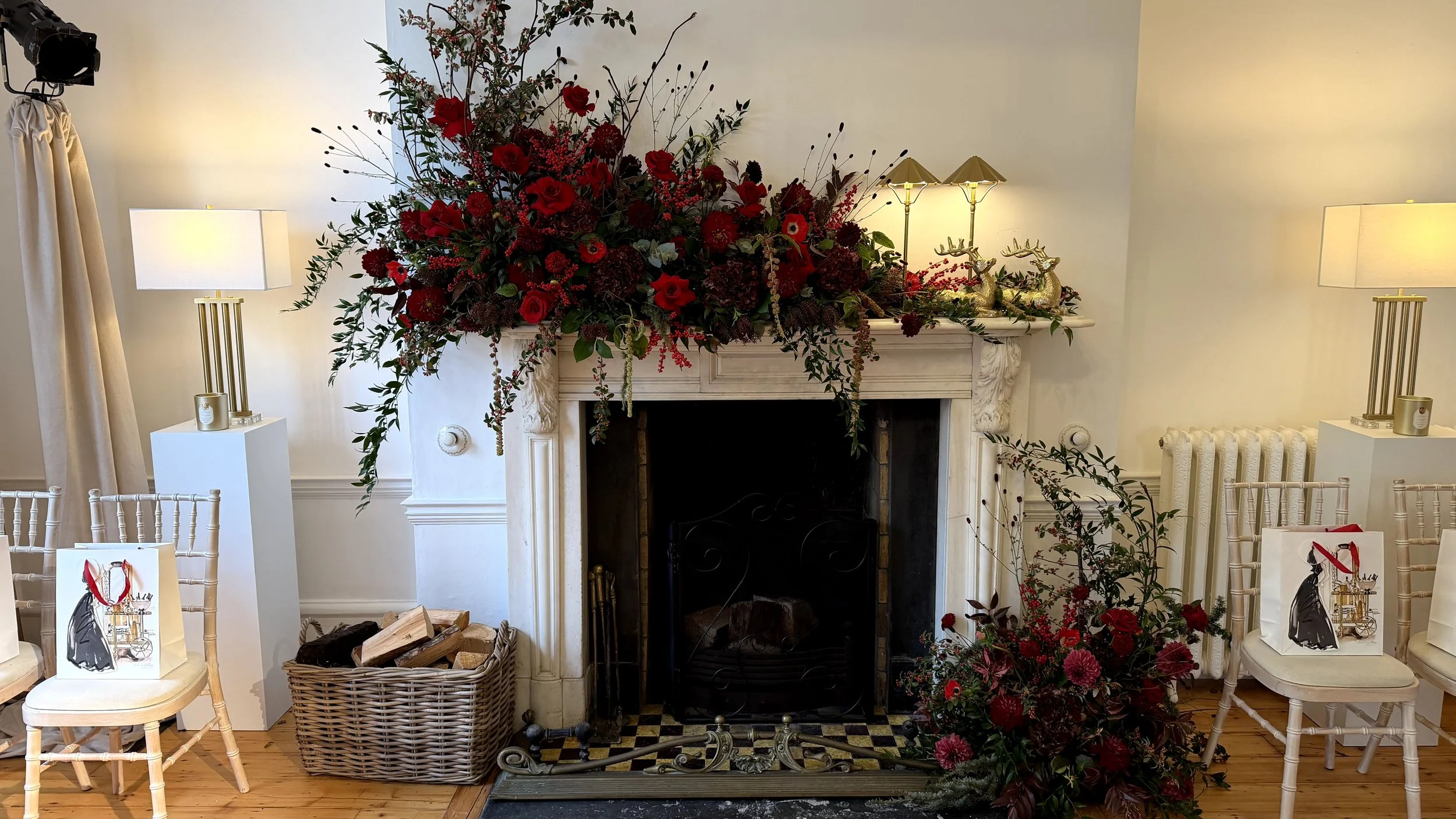 Appassionata Flowers Winter 2025 - Paul Costelloe.jpeg