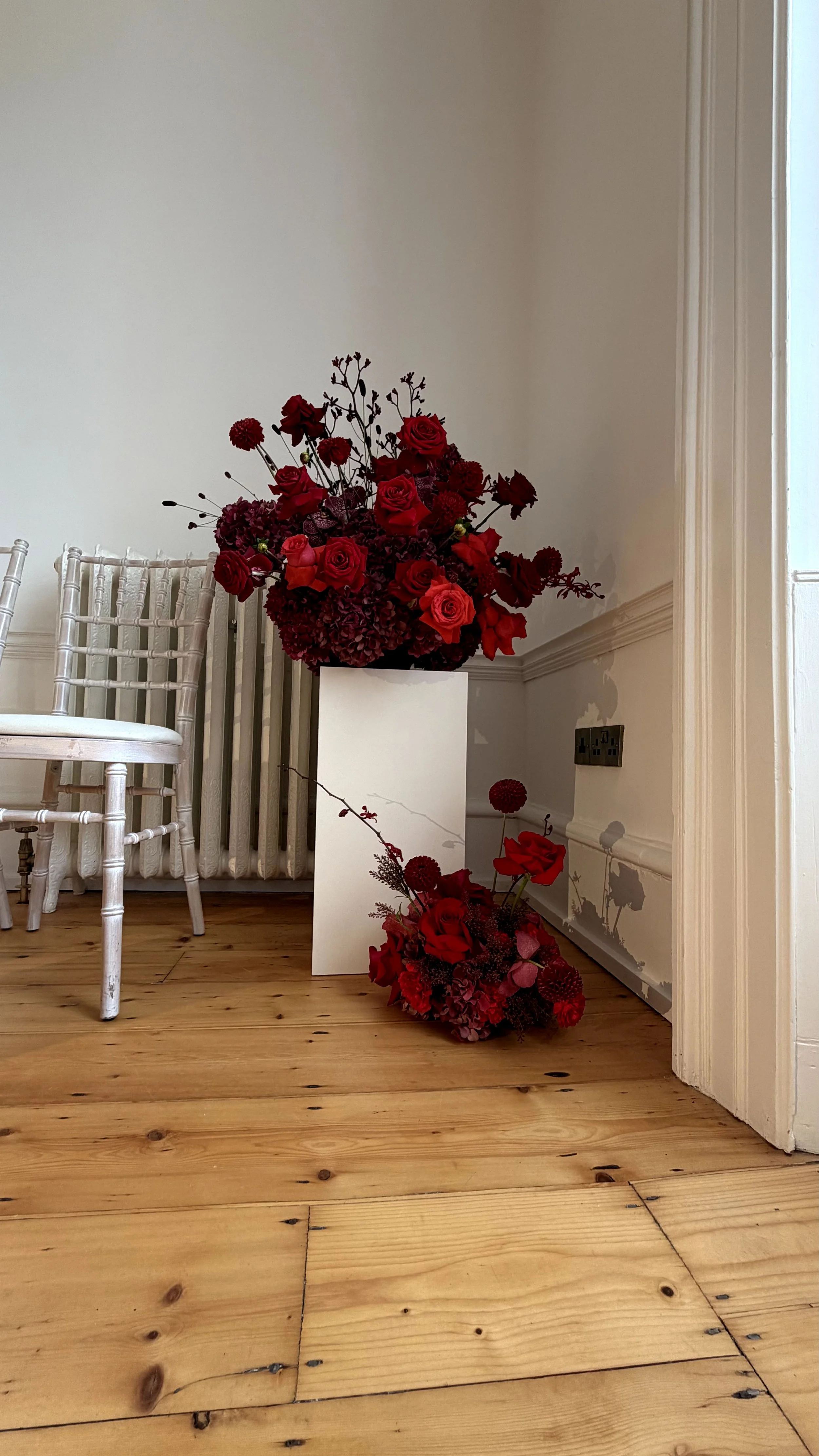 Appassionata Flowers Winter 2025 - Paul Costelloe 2.jpeg