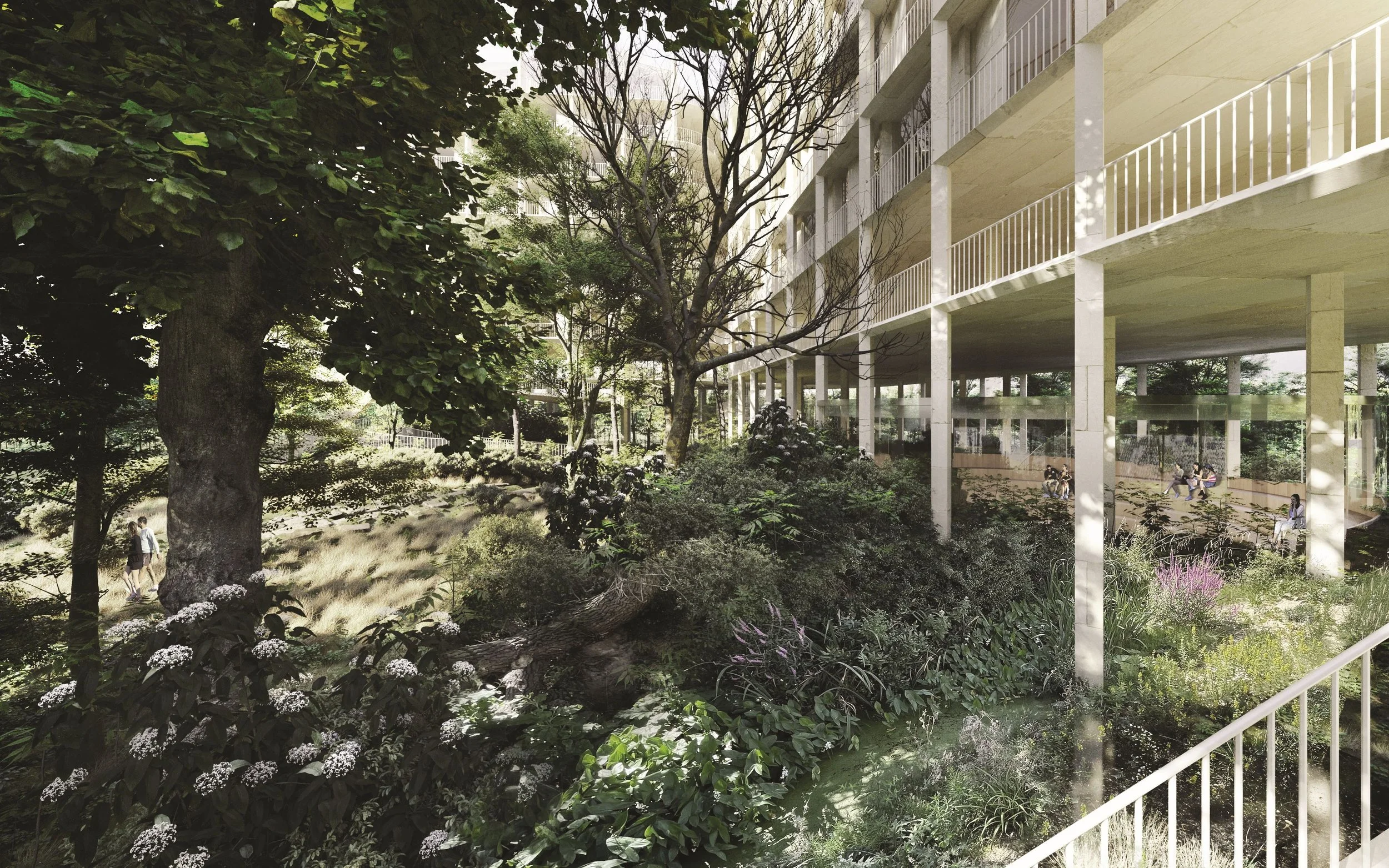 View_Jardin_2_V2.jpg