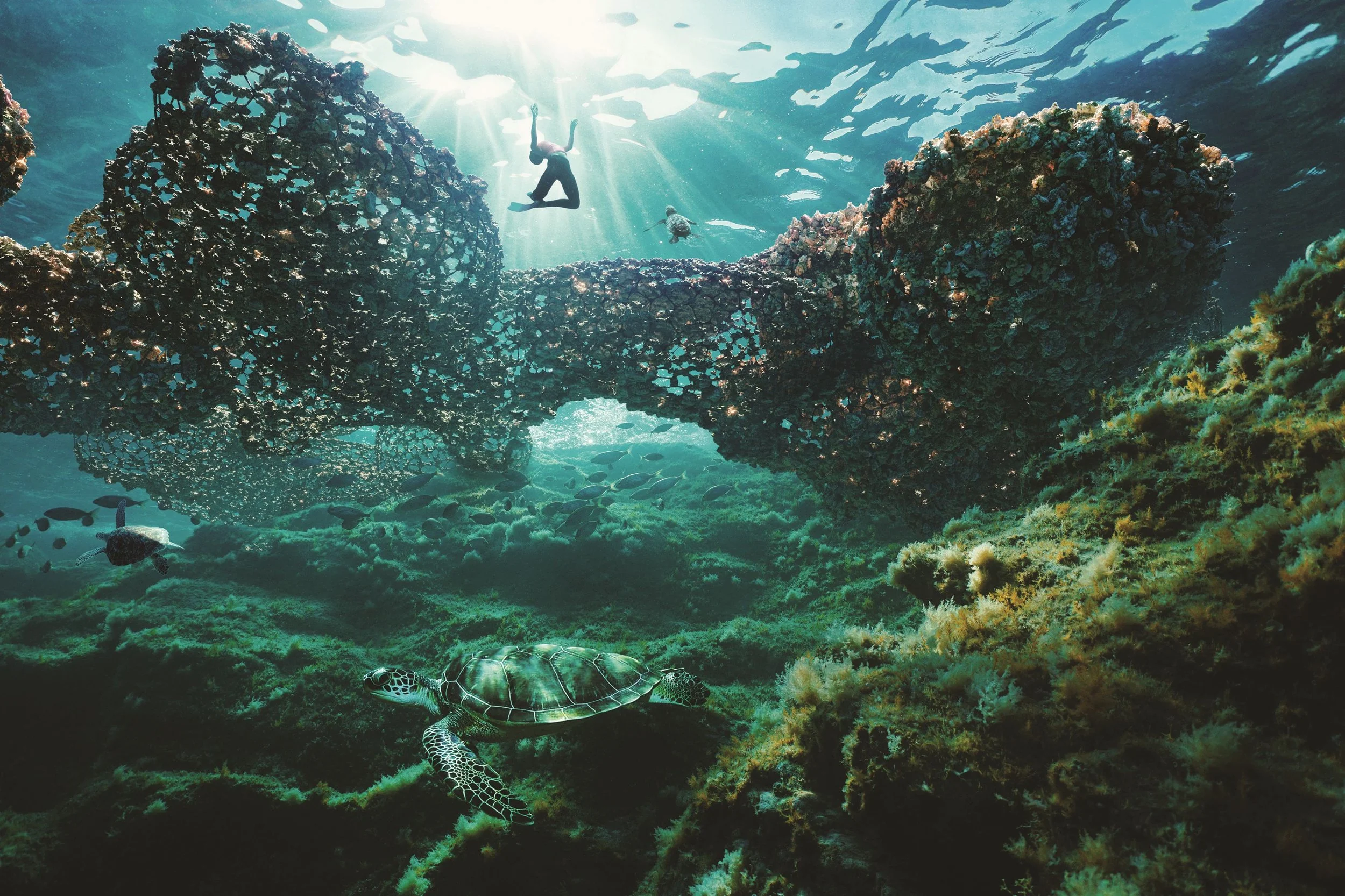 Coral_Museum_V1.jpg