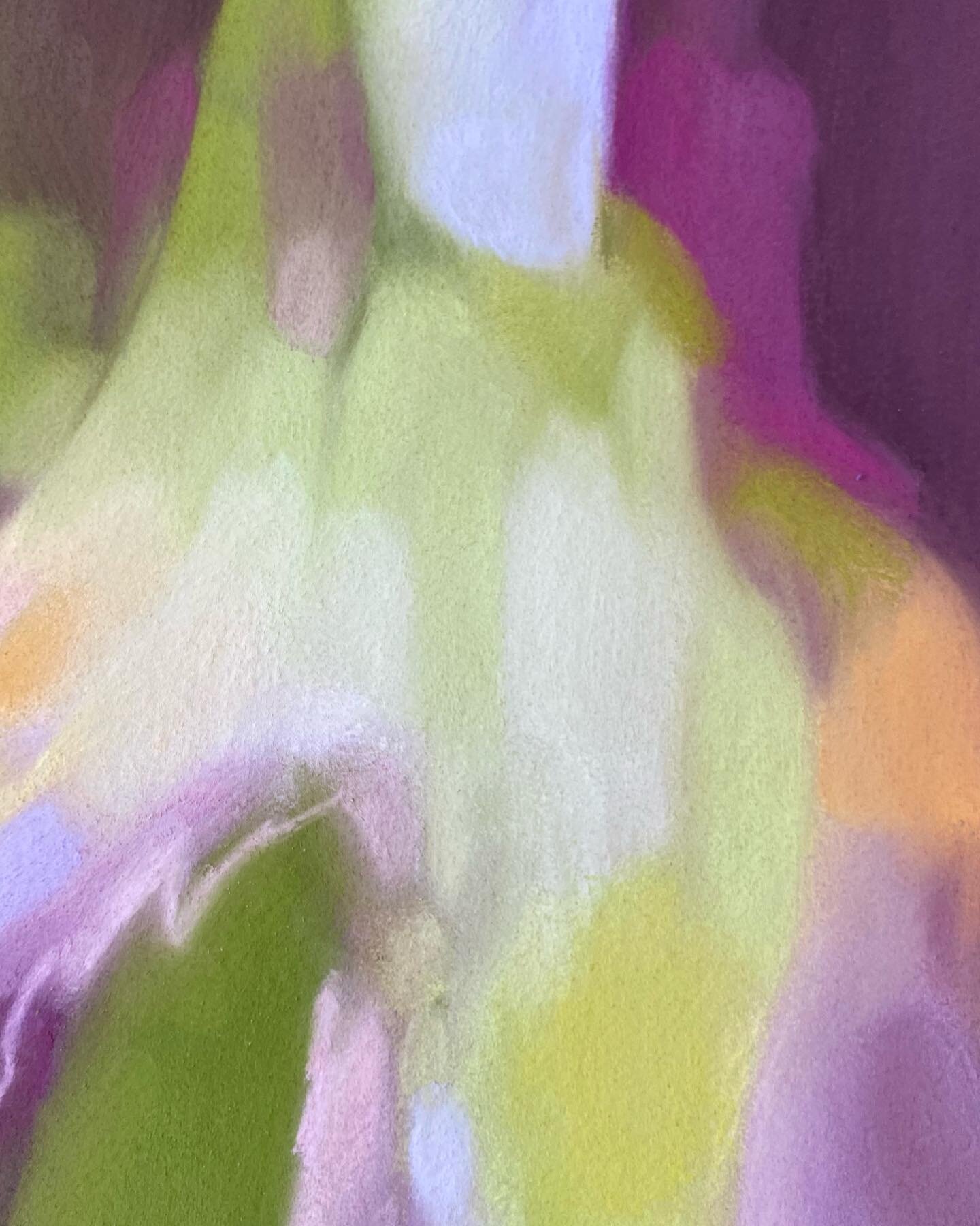 A new palette
I&rsquo;m really enjoying this colour combo!

Work in progress. Detail 

.
.
#kristinholmdybvig #singulart #returnonart #riseart #unisonpastels #pastelart #softpastel #artonpaper #art #artgallery #artcollector #artoftheday #artlover #ar