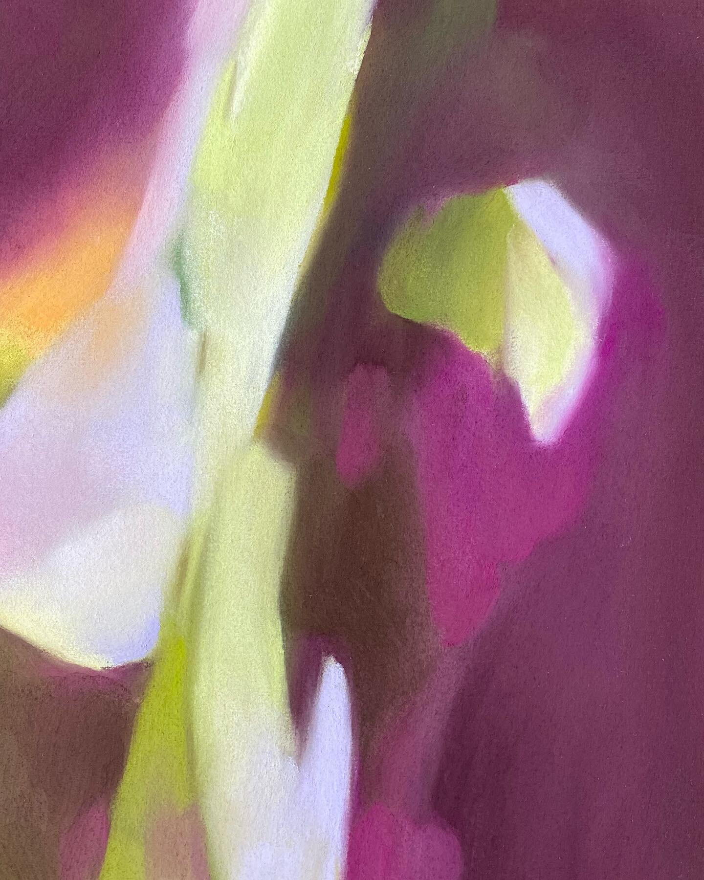 Detail
Work in progress

.
.
.
#kristinholmdybvig 
#workinprogress #detail #pastelart #softpastels #draw #paintwithpastels #drawing #draw #draweveryday #art #artistsoninstagram #artgallery #artcollector #artlover #abstractart #abstractlandscape #abst