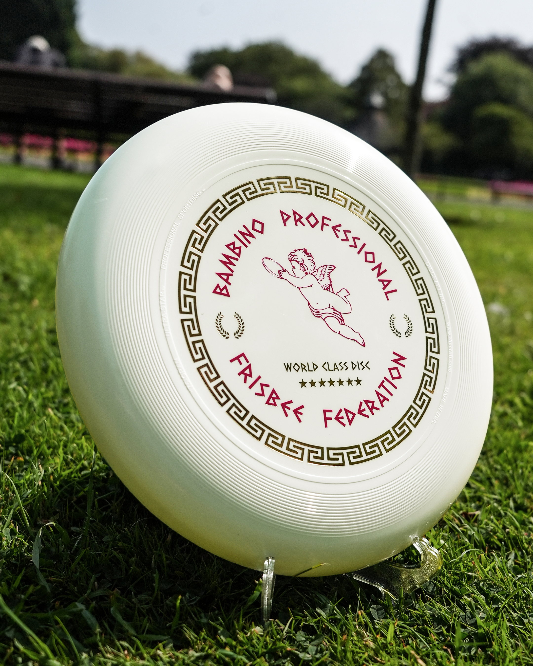 FrisbeeFinal1.png