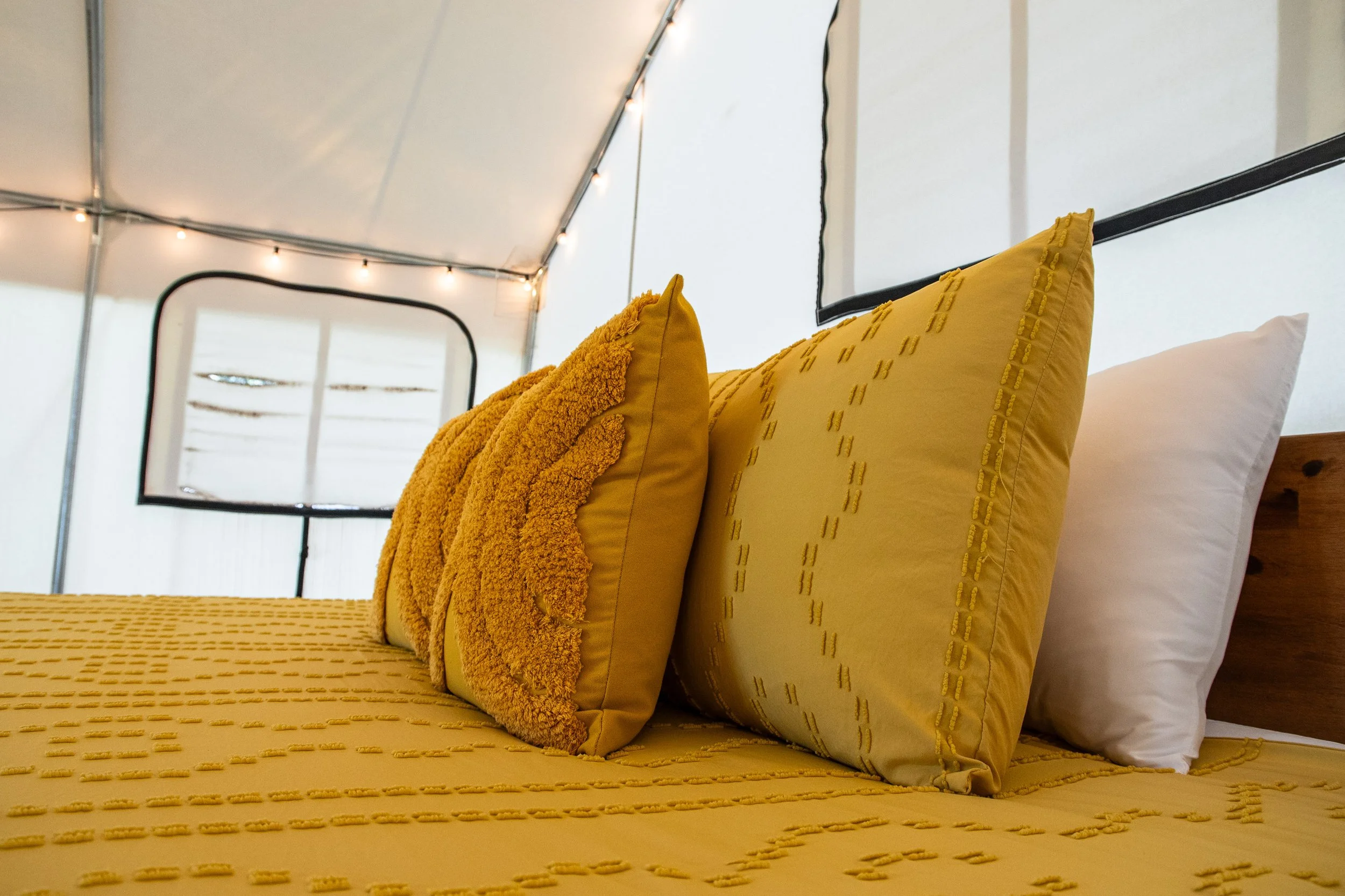 Copy of DL_Tent10_042.jpg