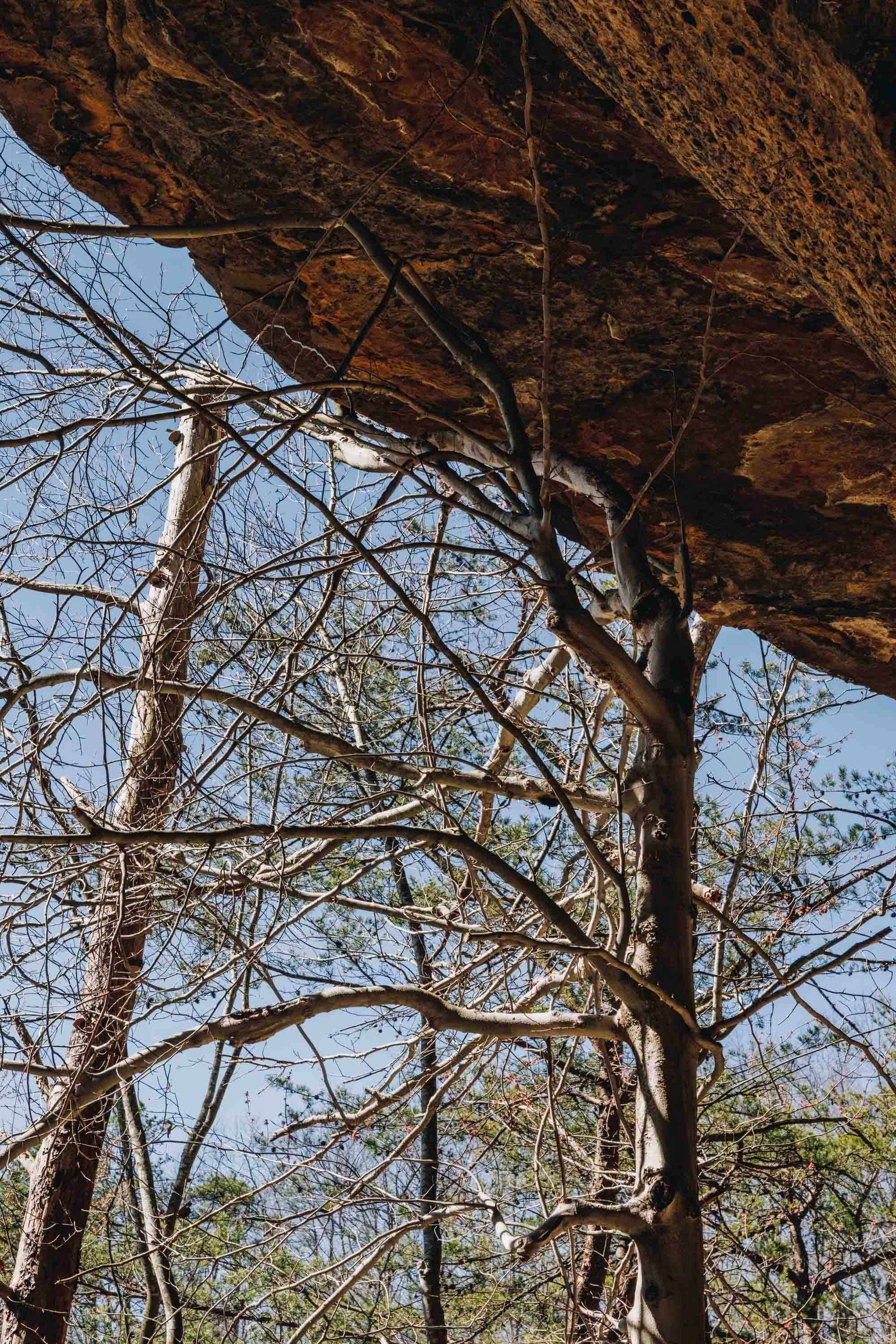 Rocky overhangs