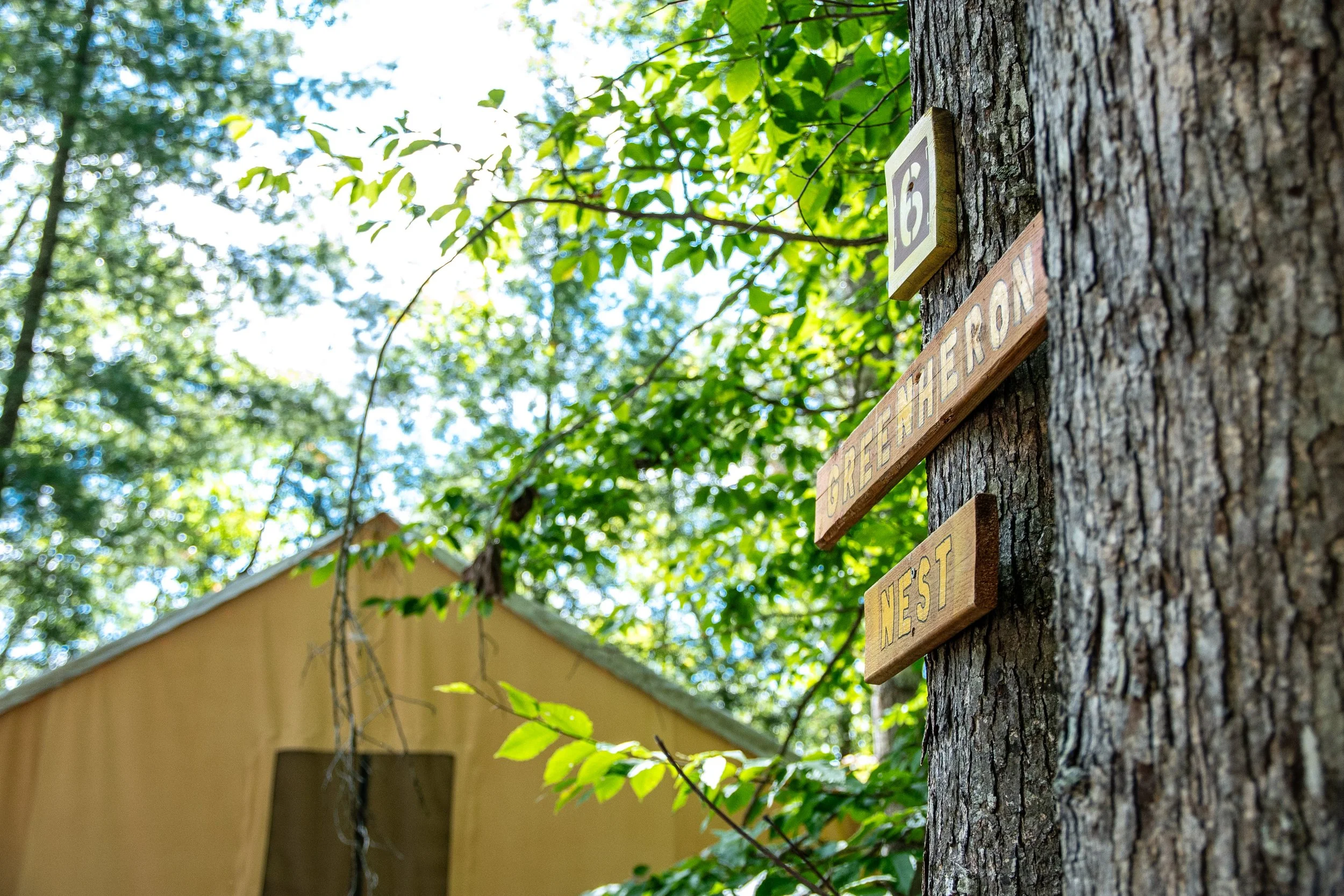 DL_Tent6_001.jpg