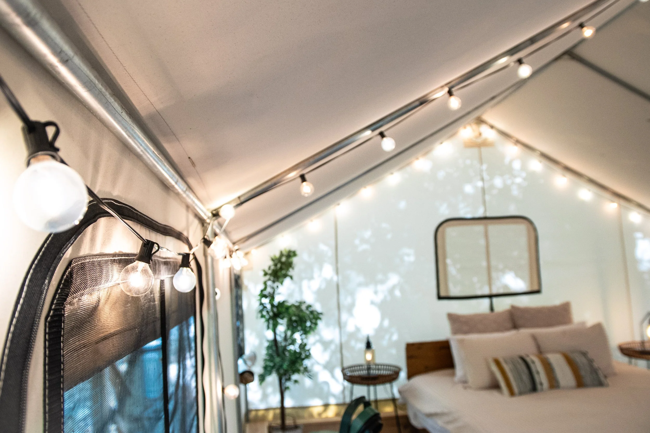 DL_Tent1_019.jpg