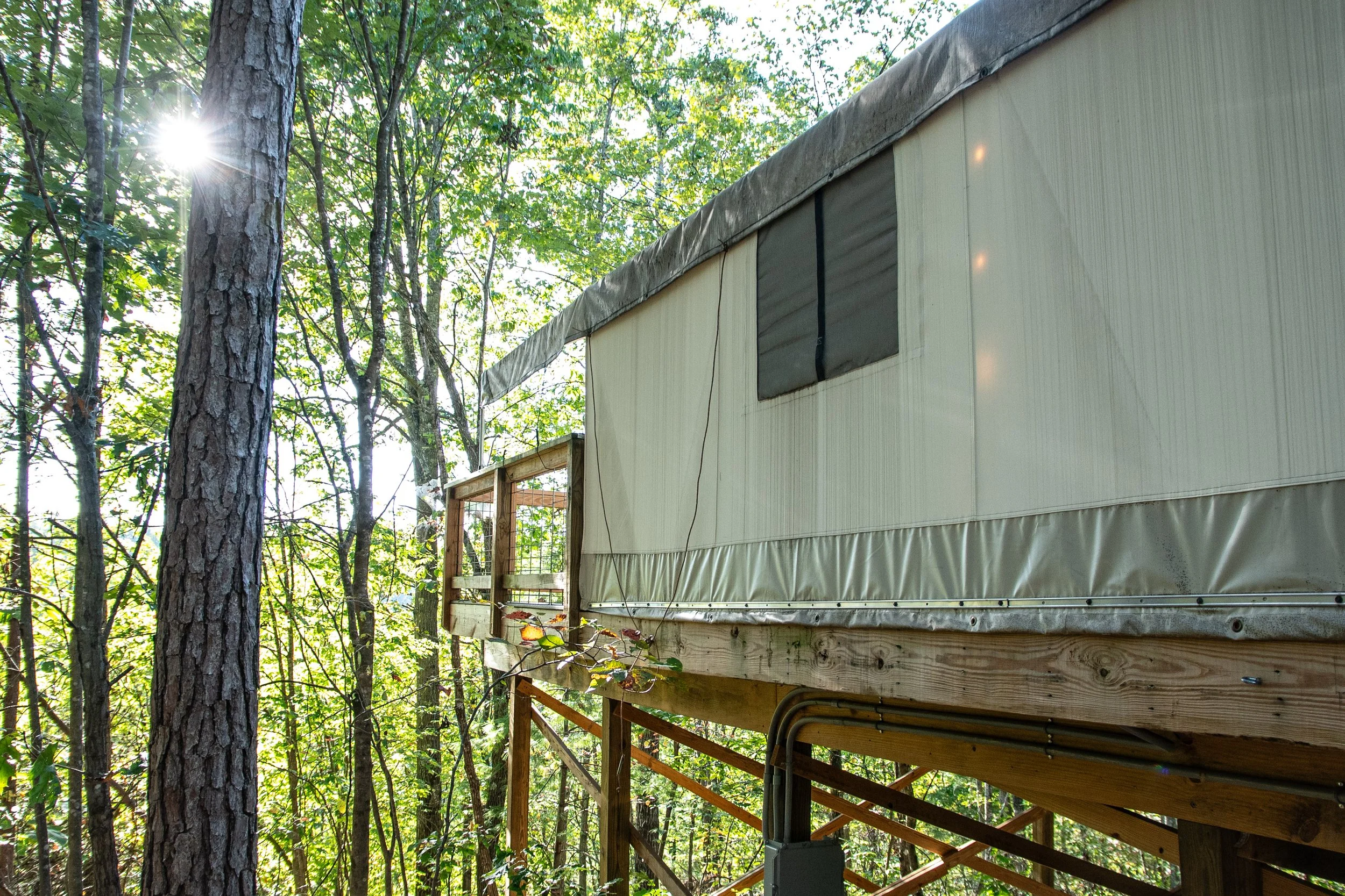 Copy of DL_Tent10_003.jpg