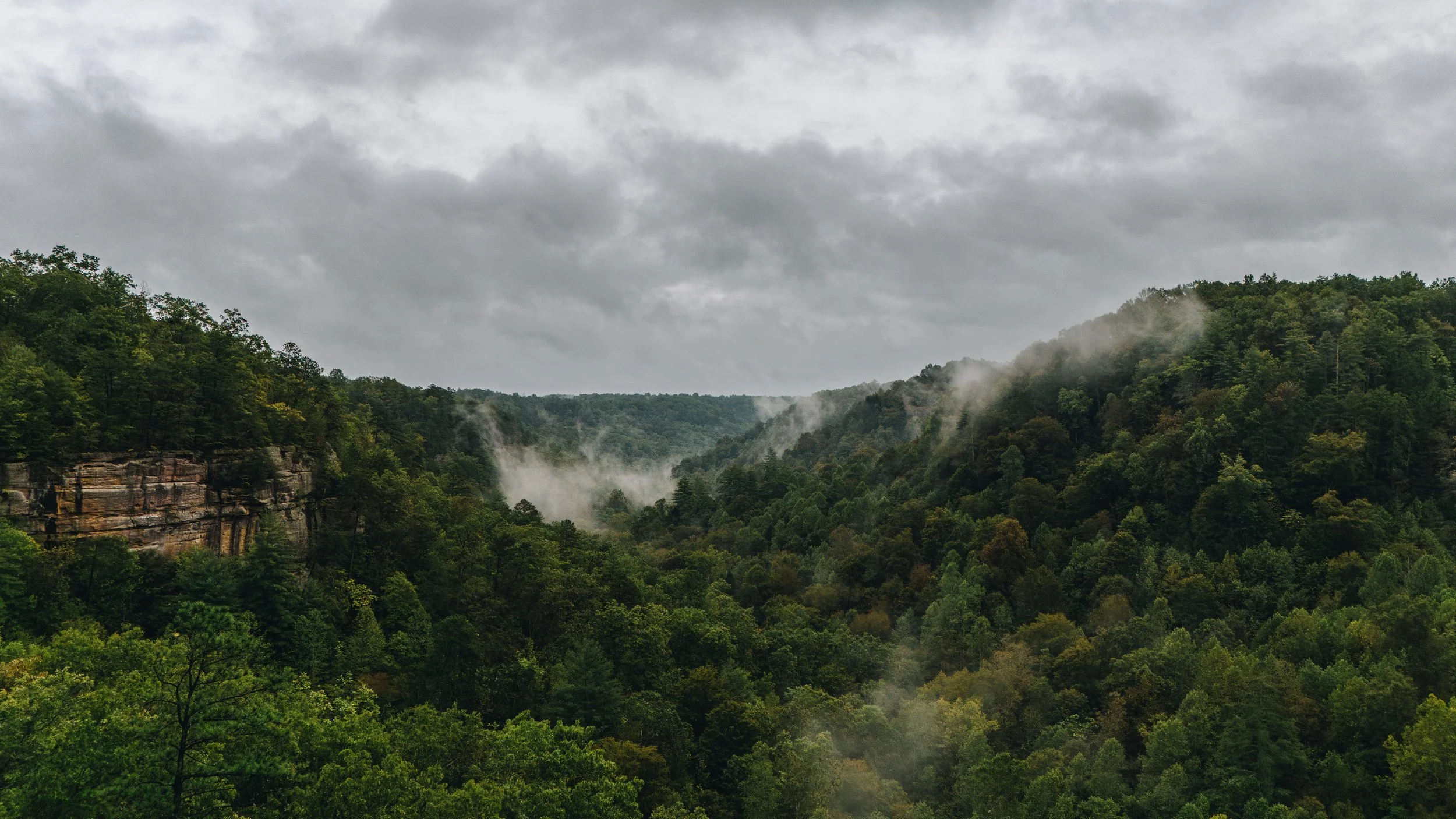 CGPHOTO - Dappled Light-48.jpg