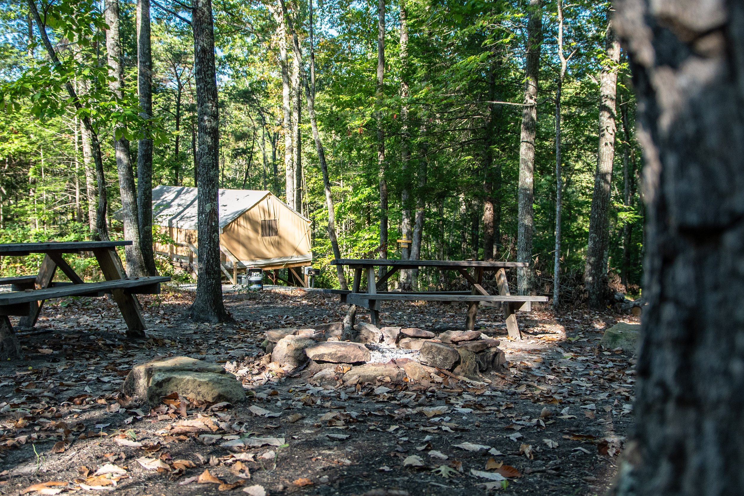 DL_Tent4_003.jpg