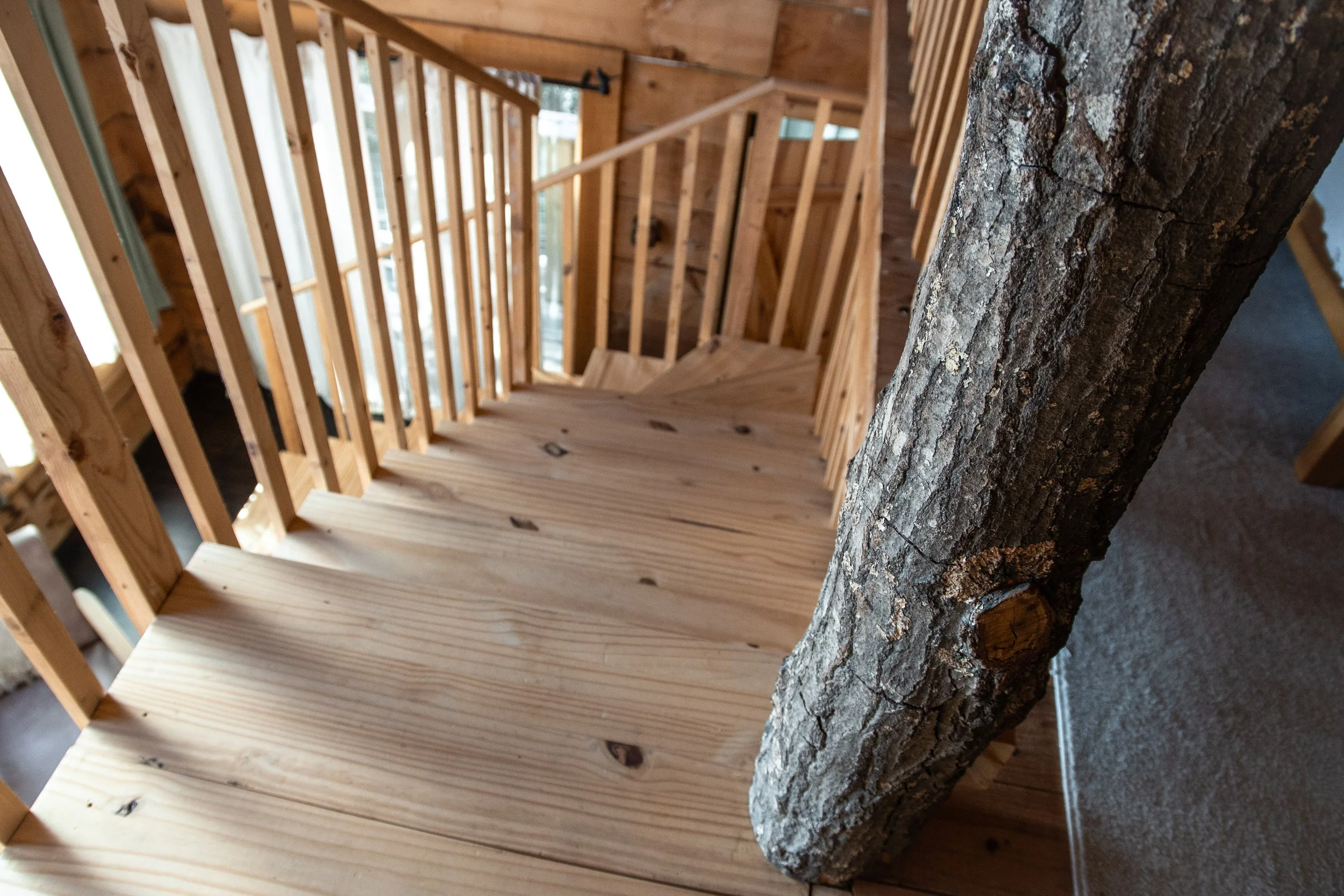 DL_Cabin_041.jpg