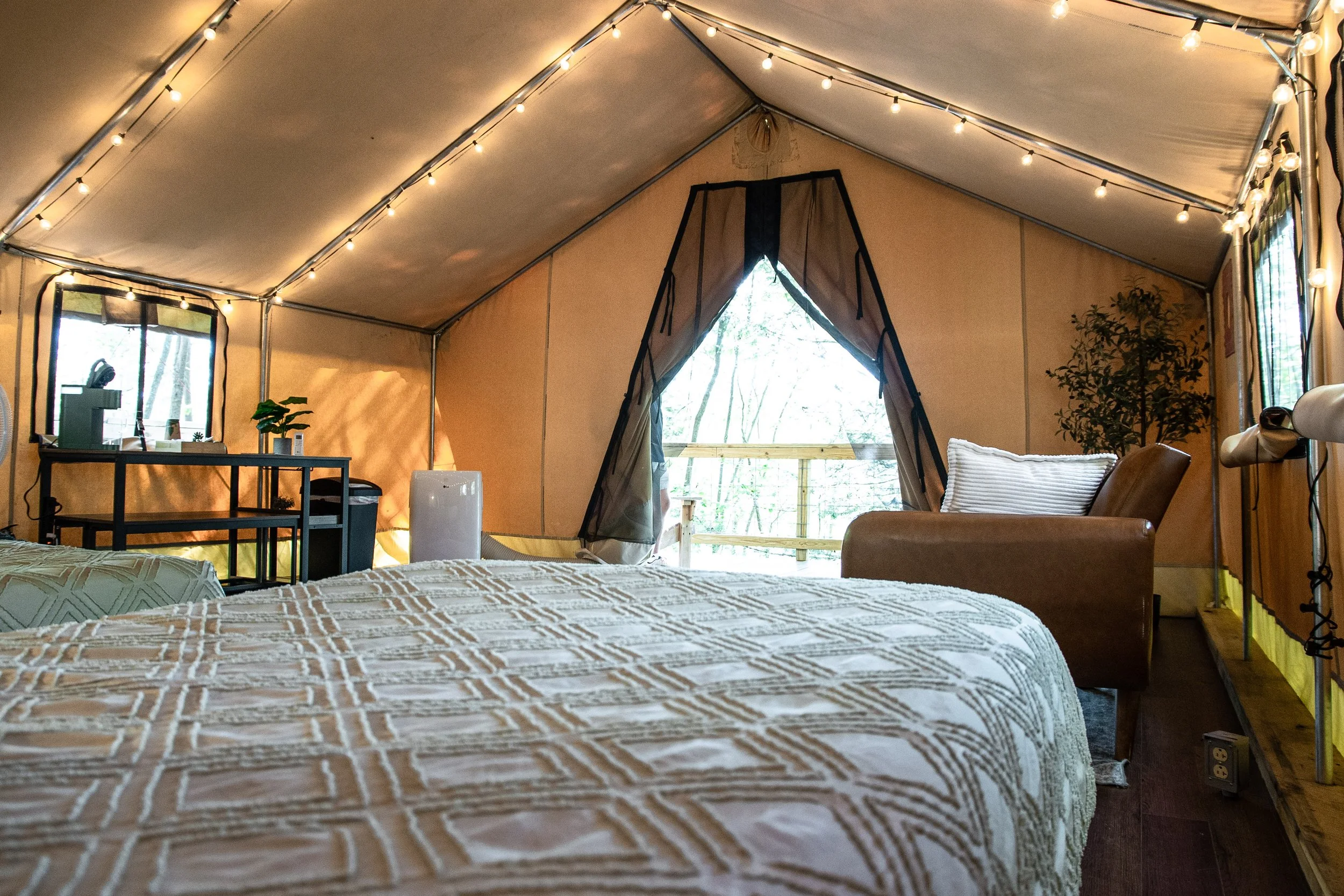 DL_Tent6_020.jpg
