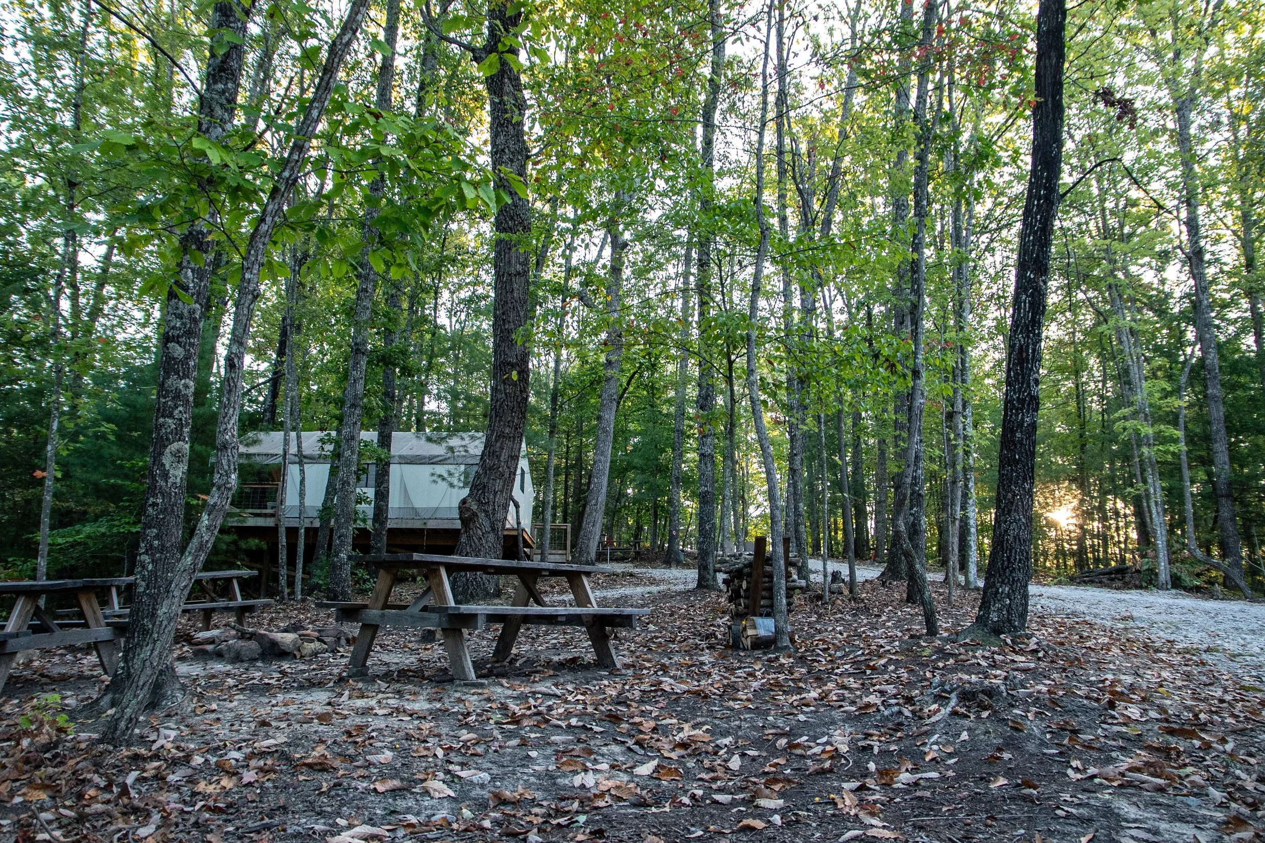 DL_Tent4_001.jpg