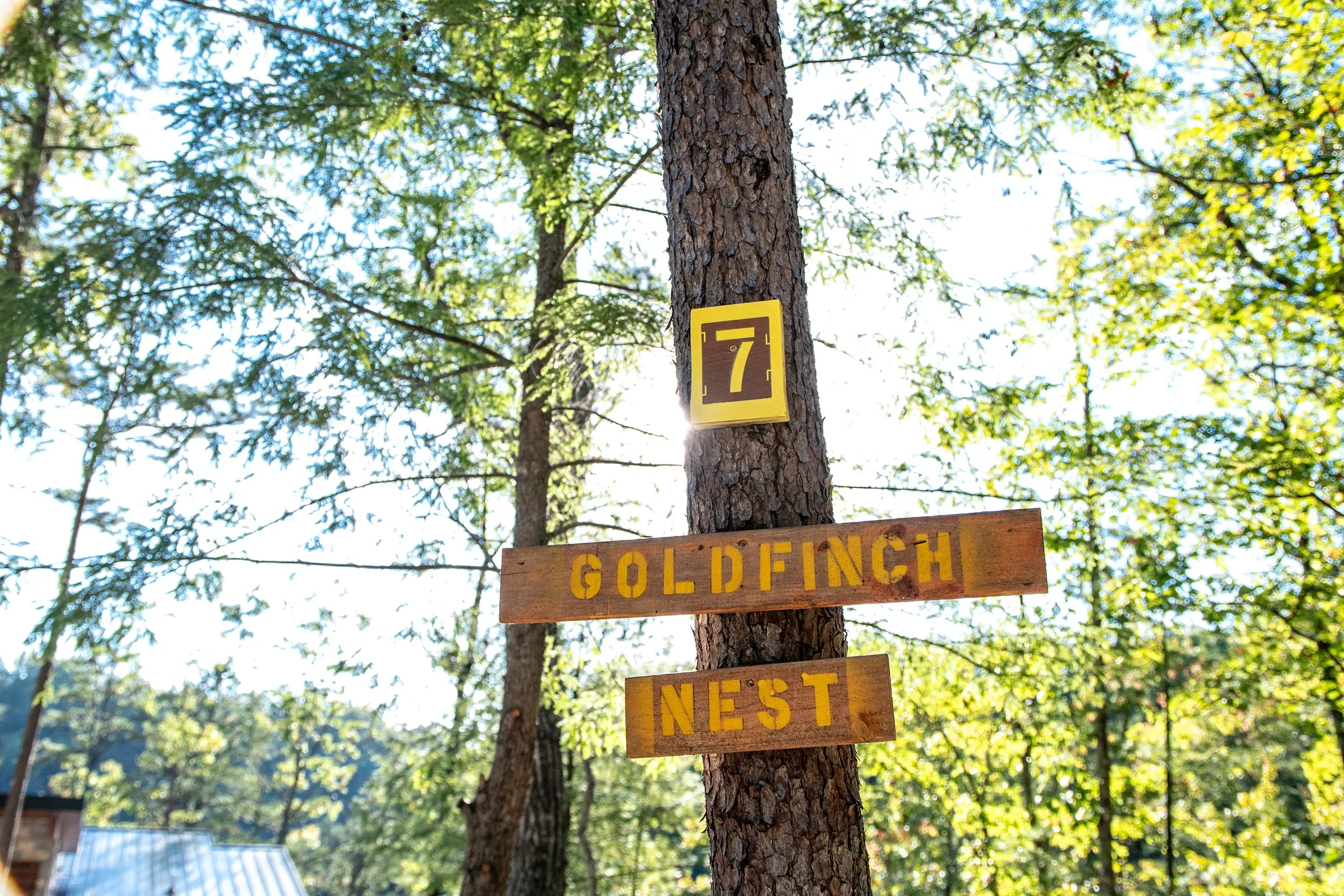 DL_Tent7_001.jpg