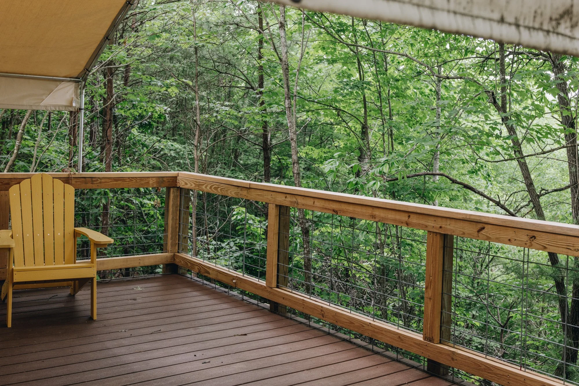 Copy of Meadowlark Exterior- Catie Viox - 2024.jpg