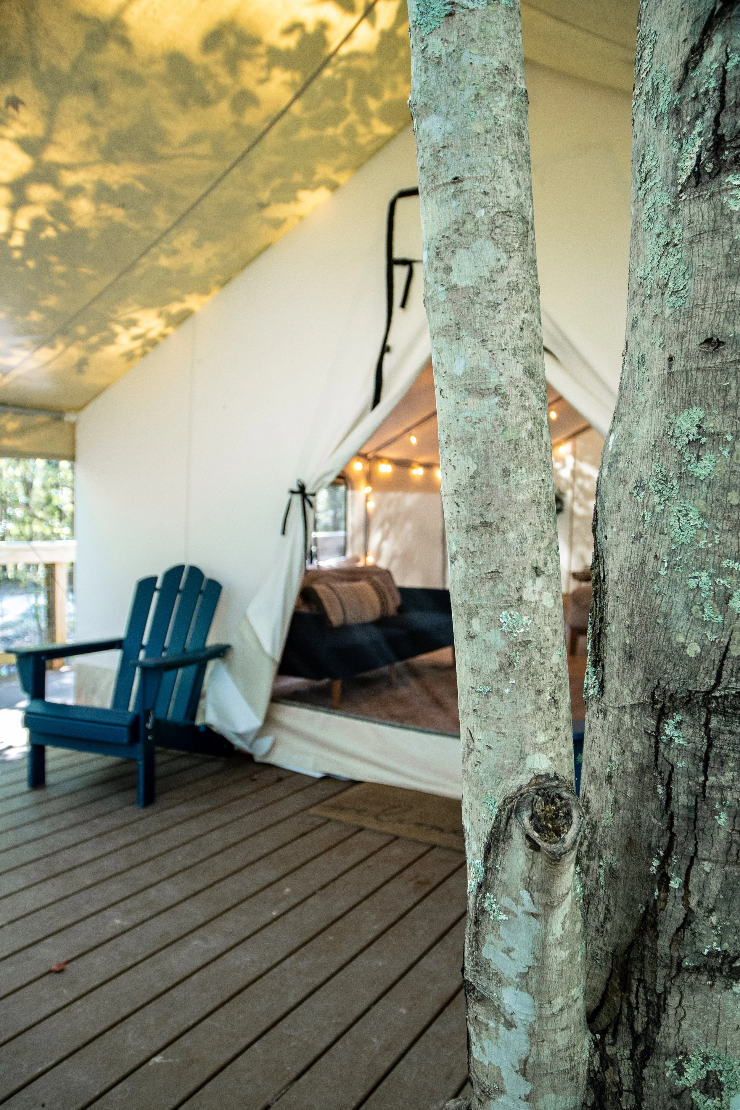 DL_Tent2_013.jpg