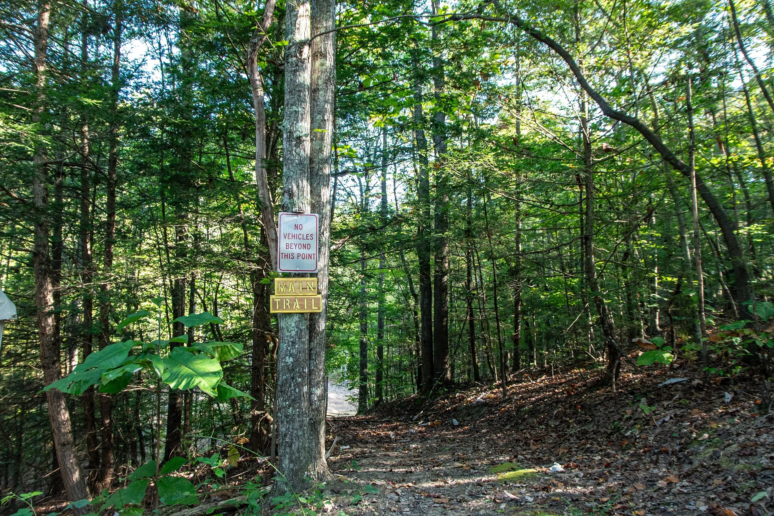 DL_Tent5_009.jpg